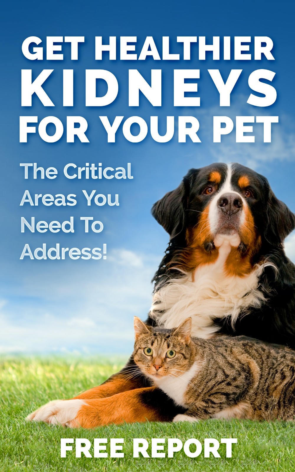 Healthy Kidney Support Cats Dogs Probiotic Powder Urinary Track Essential 3 Pack