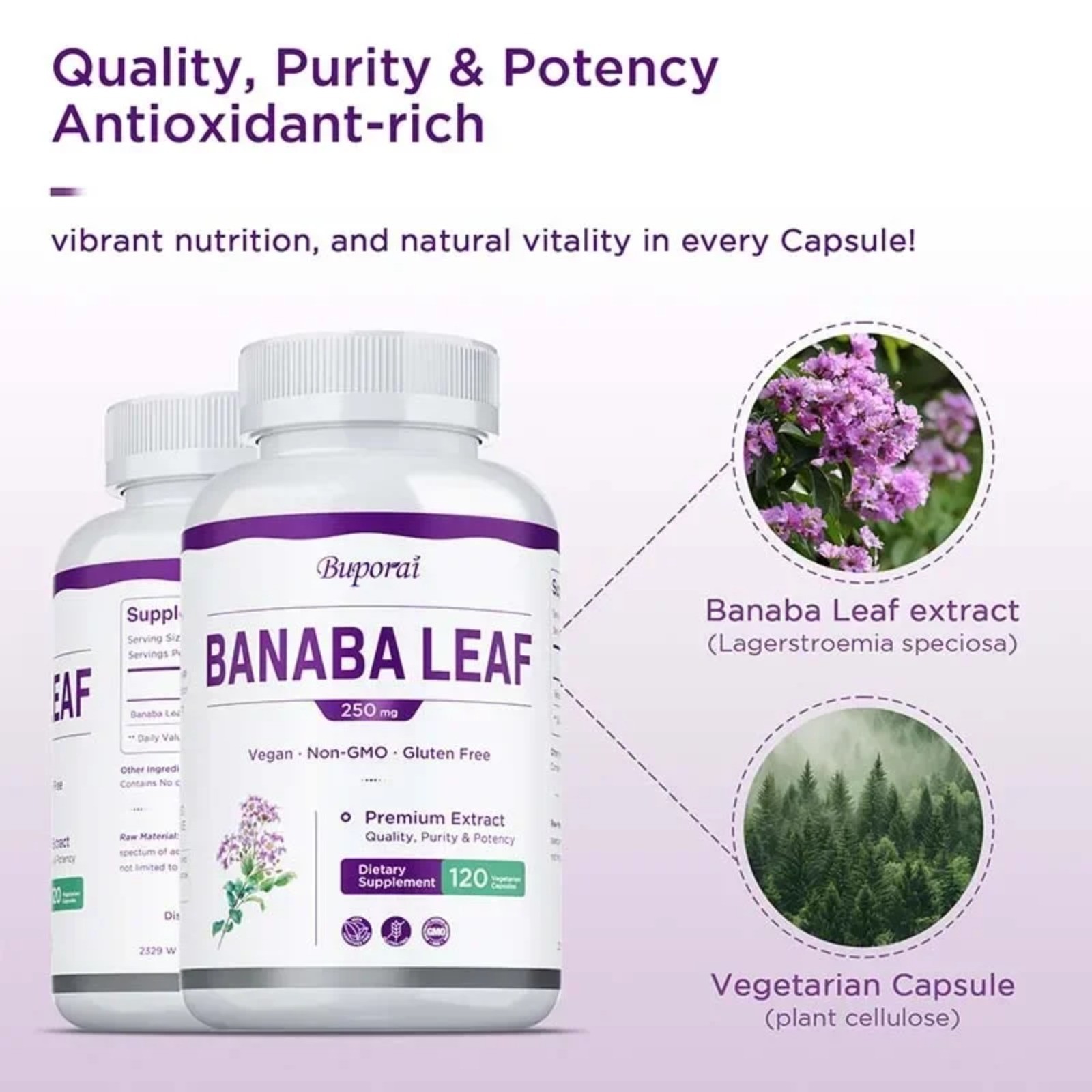 Banaba Leaf 240pcs – Reduce Stress and Anxiety, Sleep Quality, Boosts Vitality