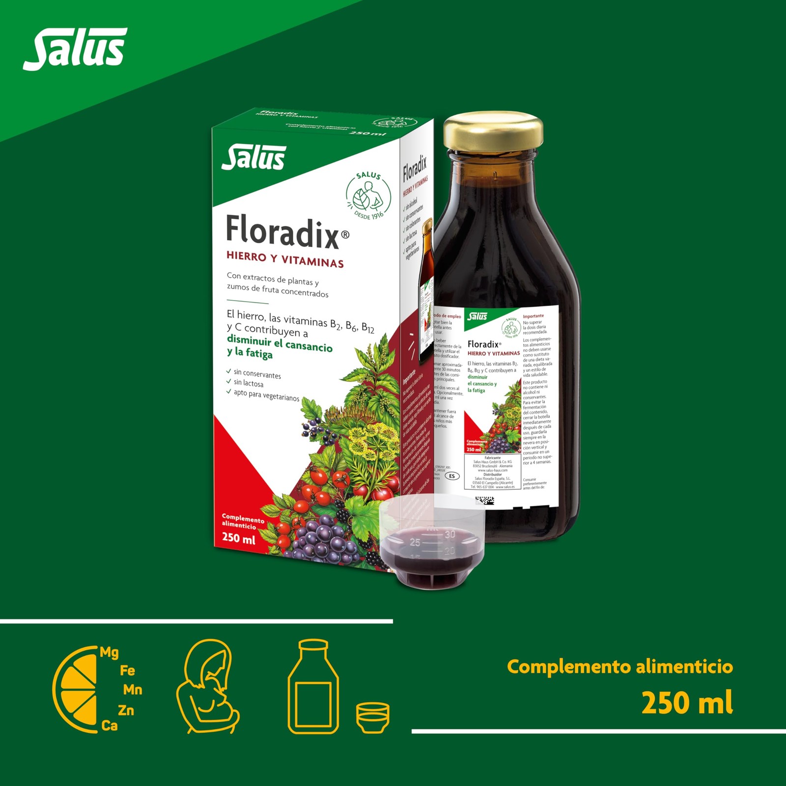Floradix Liquid Iron and Vitamin 8.5 Fl Oz (Pack of 1), Vitamins
