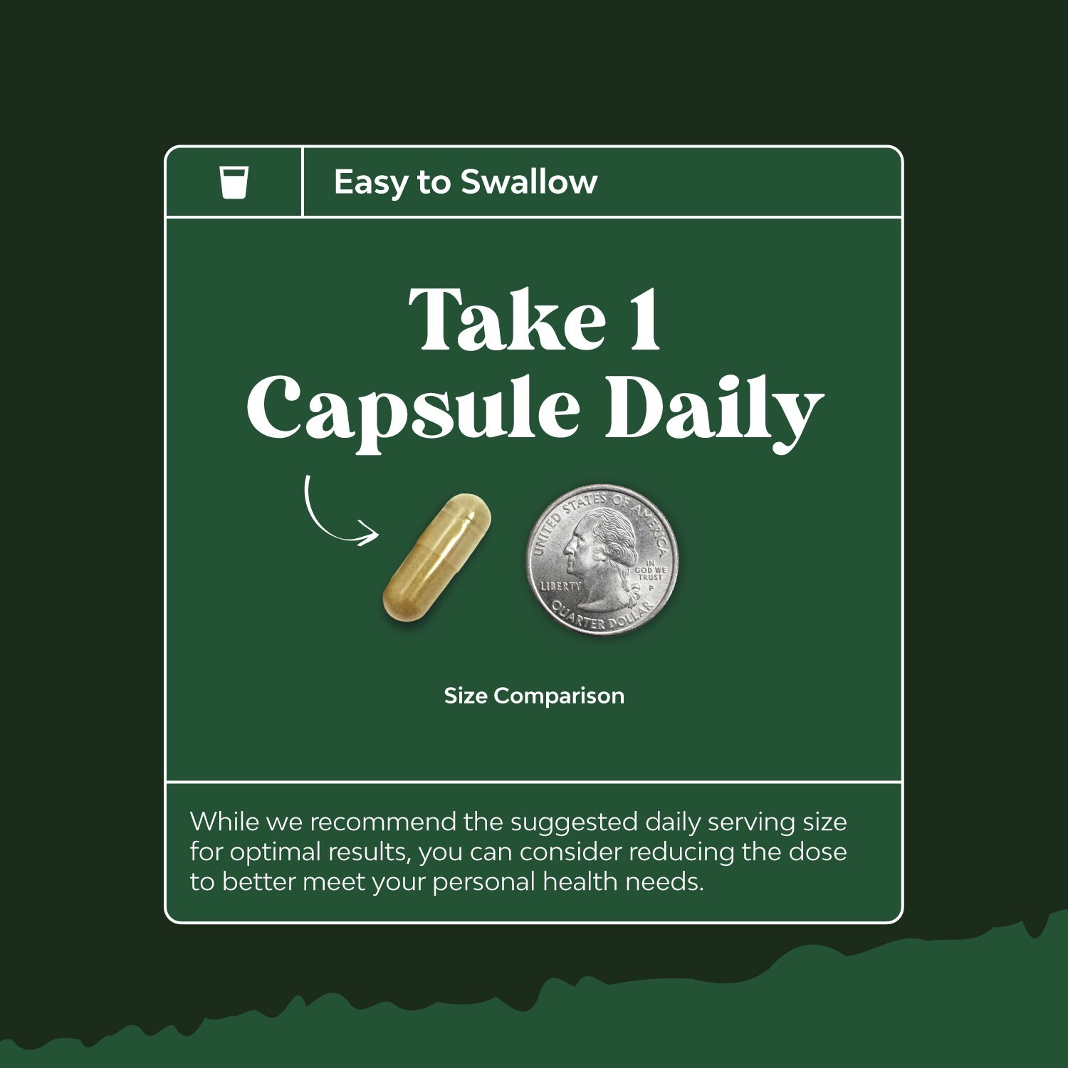 Potent Olive Leaf Extract Capsules – High Strength Antioxidant Supplement