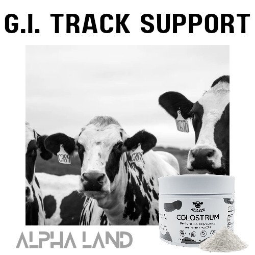 Colostrum Powder Supplement for Gut Health, Immune Support, Muscle Recovery