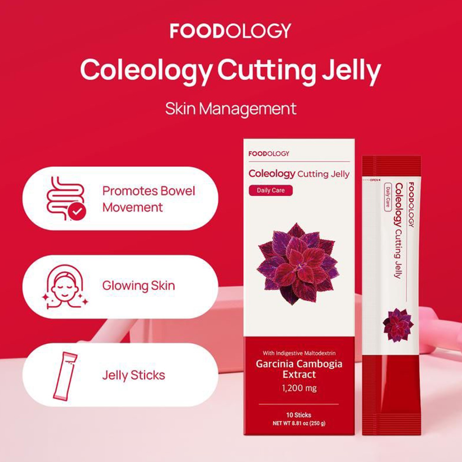 FOODOLOGY Coleology Weight Cutting 250g(25g X Sticks) 10 Jelly Loss Supplements-