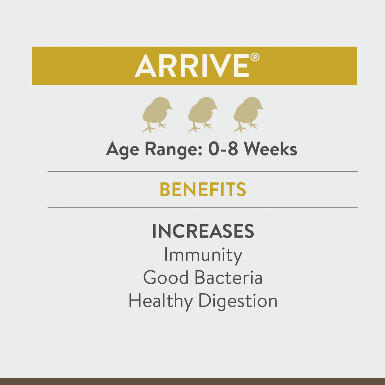 Arrive Chicken Supplement, 8 Ounce