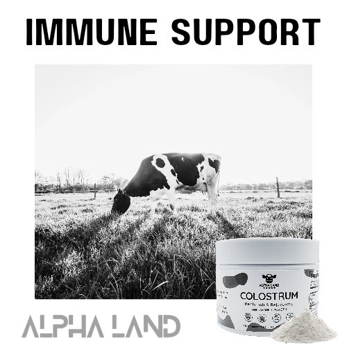 Colostrum Powder Supplement for Gut Health, Immune Support, Muscle Recovery