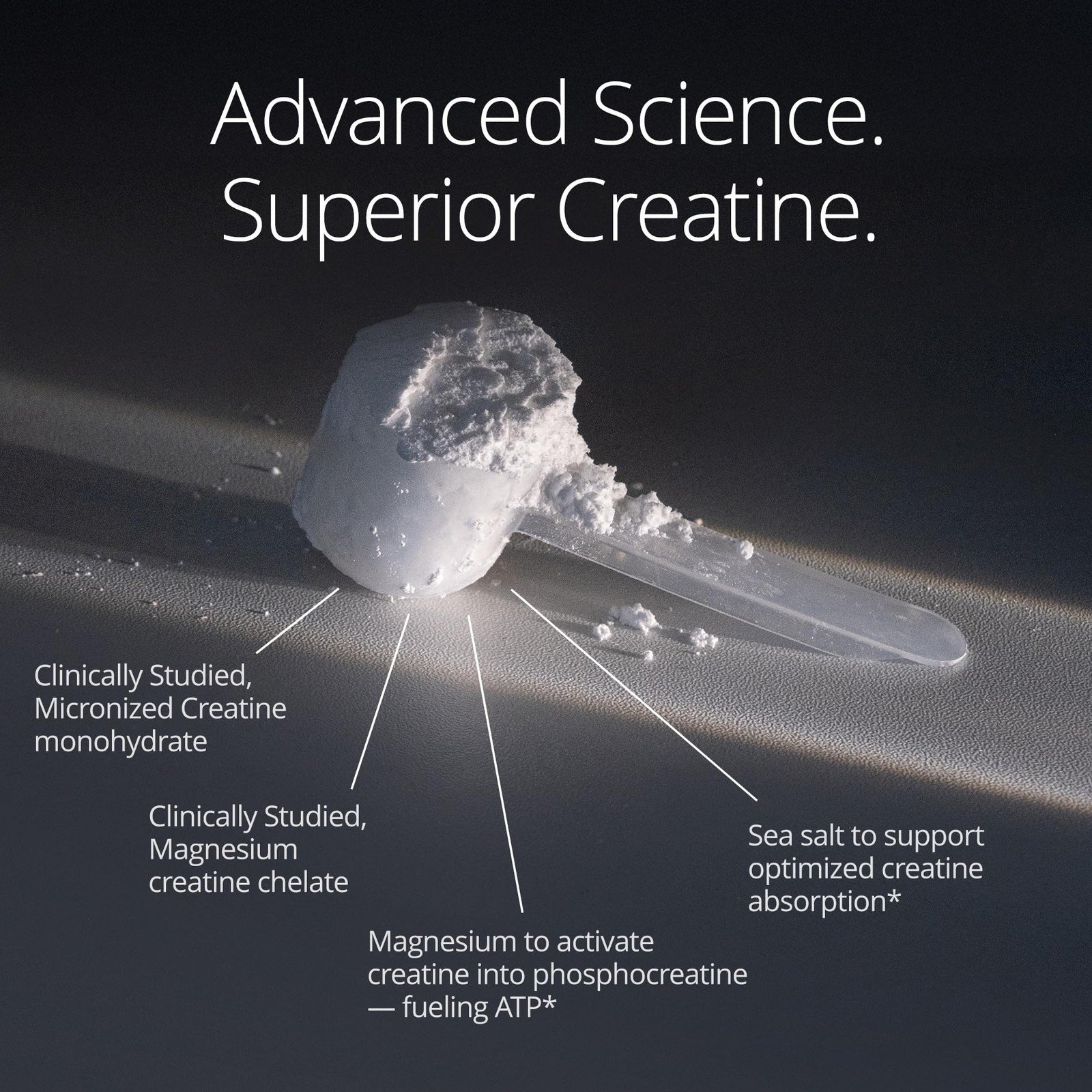 Qualia Creatine | Advanced Creatine Complex | 2 Sources + Magnesium | Optimiz…
