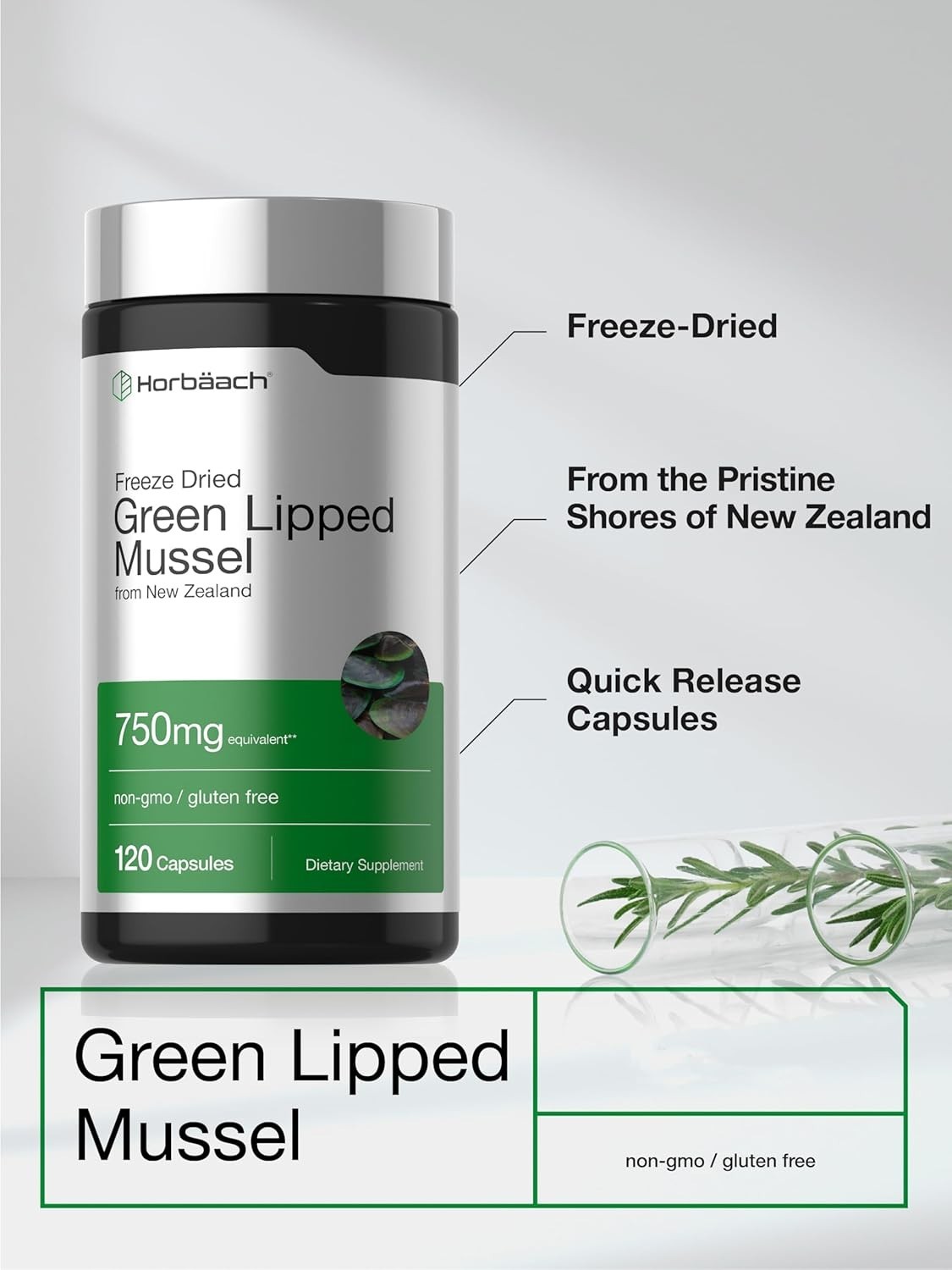 Green Lipped Mussel Capsules 750 mg | 120 Count | from New Zealand | by Horbaach
