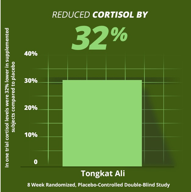 TestForm-X + NO2 Max (1 of each) – Save 20% with Combo!