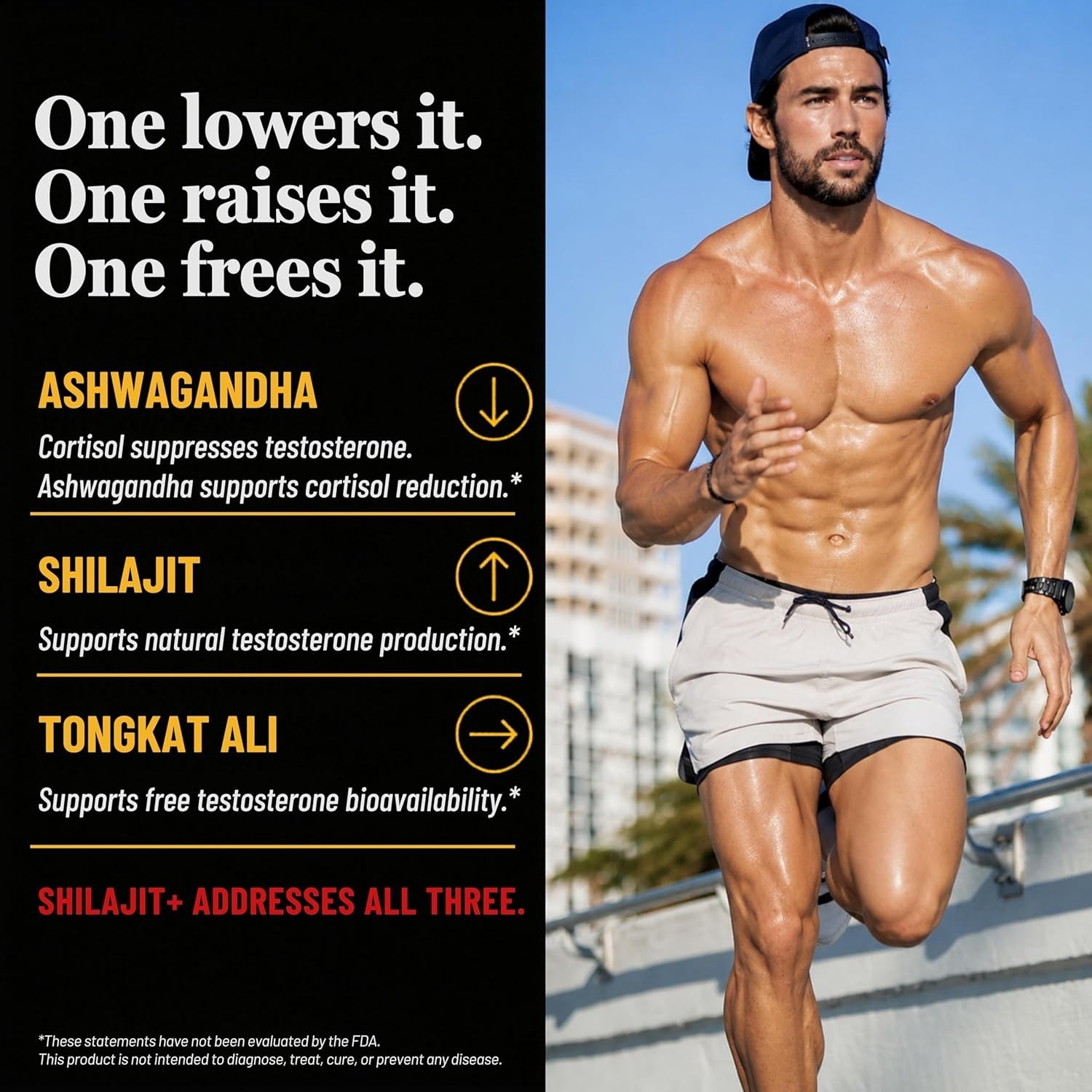 Highest Potency Black Shilajit for Men -80% Fulvic Acid – Natural Test Booster