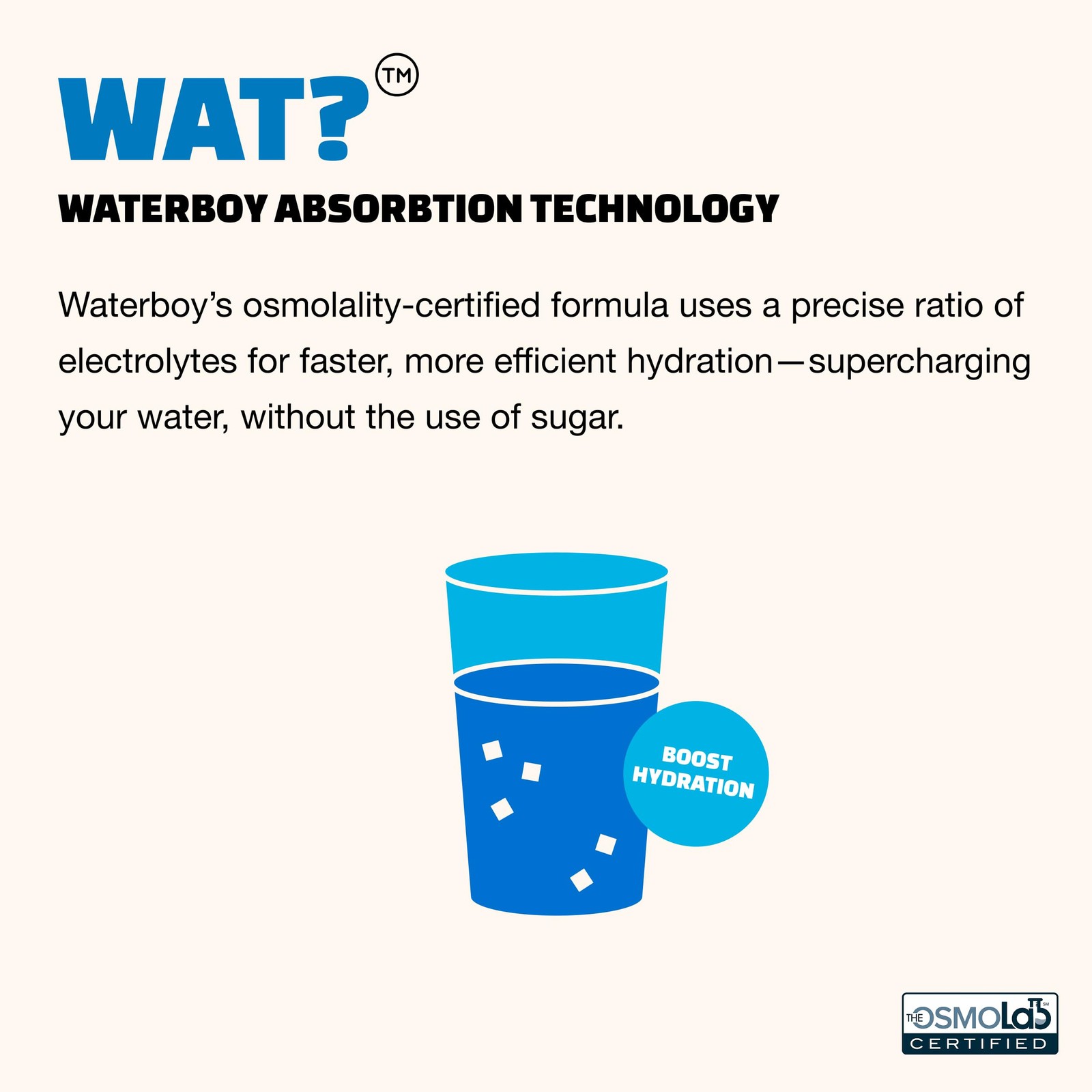 Waterboy Daily Hydration | 1,570mg Electrolyte Powder 1.6 Ounce (Pack of 1)