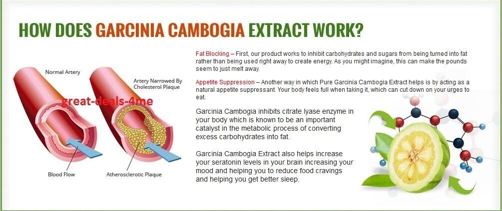 6 X BOTTLES 360 Capsules 3000mg Daily GARCINIA CAMBOGIA HCA 95% Weight Loss Diet