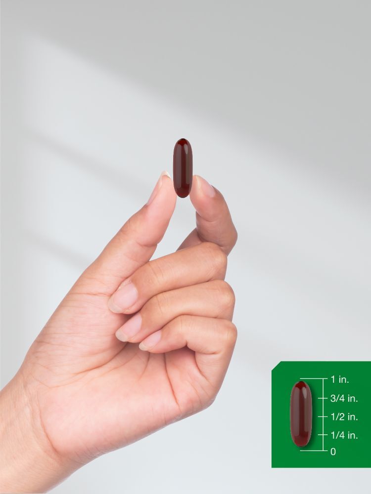 Black Seed Oil 2000mg | 120 Softgel Capsules | Nigella Sativa | by Horbaach