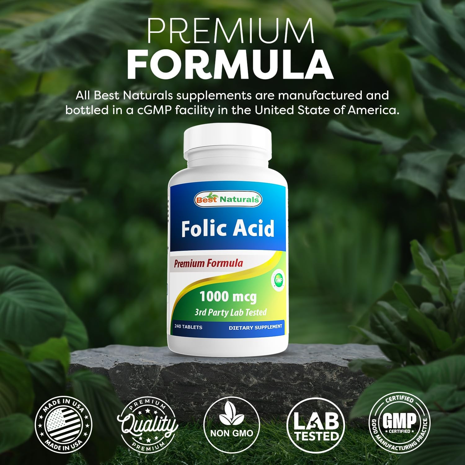 Best Naturals Folic Acid 1000 mcg (Vitamin B9), 240 240 Count (Pack of 1)