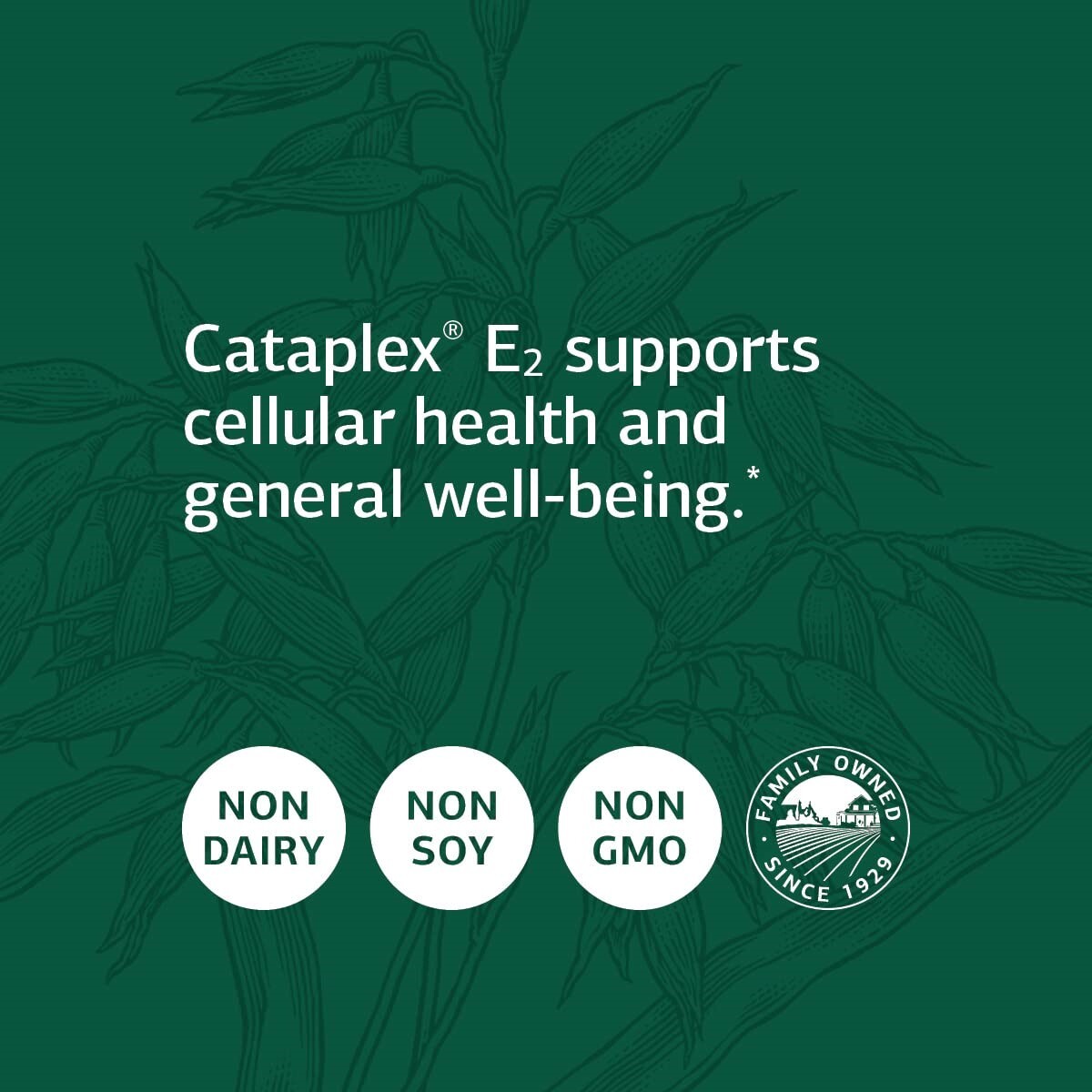 Standard Process – Cataplex E2 – 90 Tablets