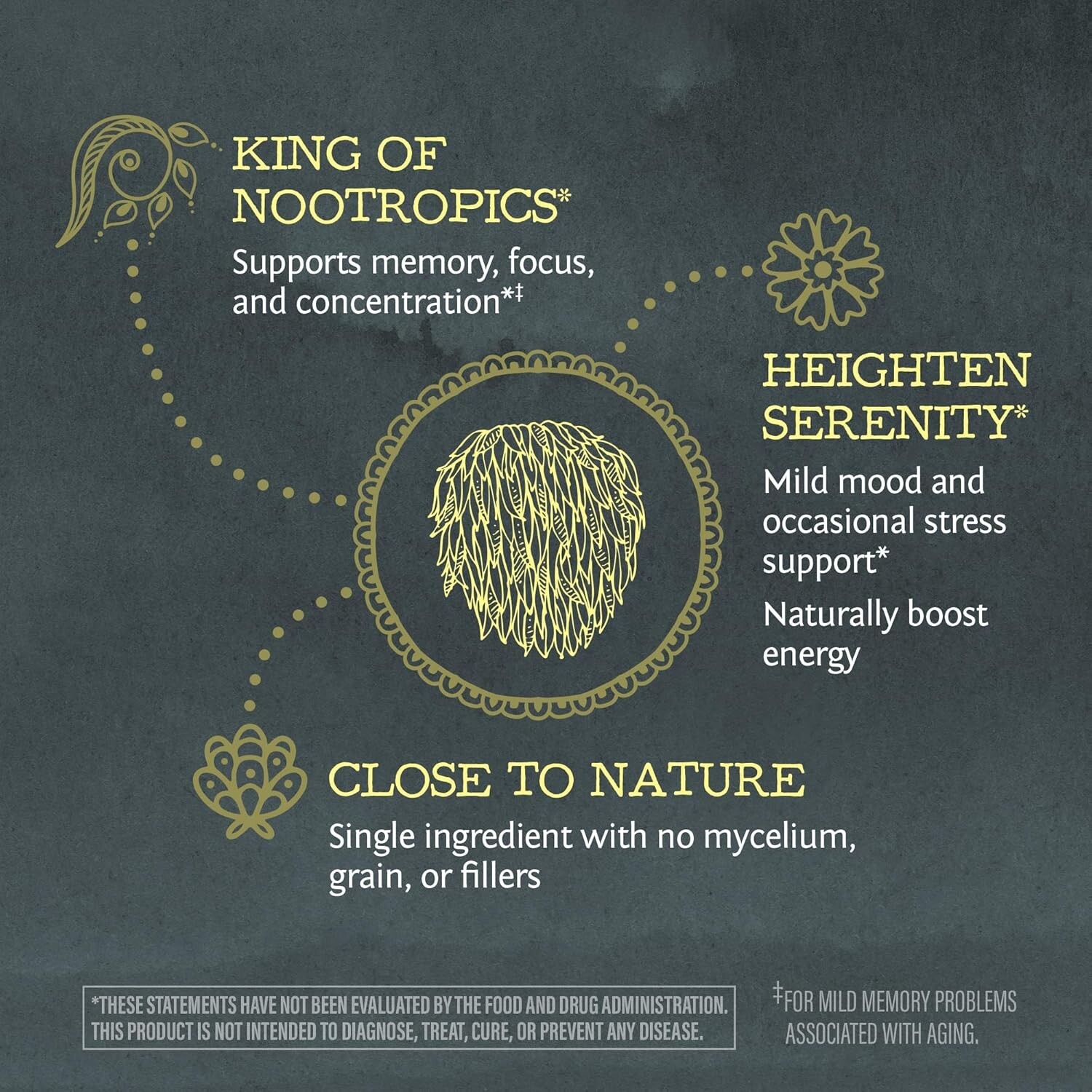 Sunwarrior Lions Mane Supplement Organic Mushroom Powder Lion’s Mane, 5.3 oz