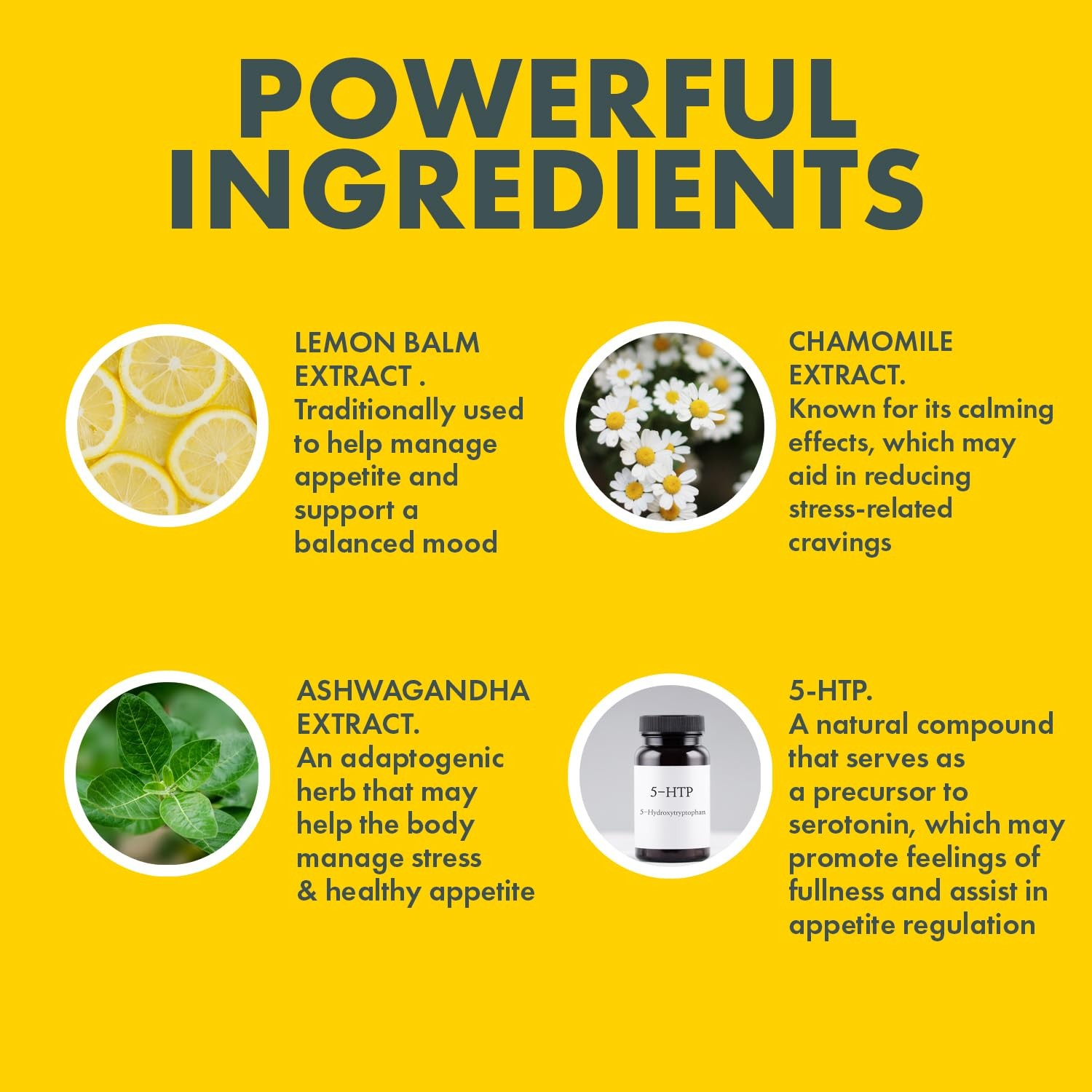 Yes You Can Appetite Support for Body Weight Management – Healthy Relationshi…