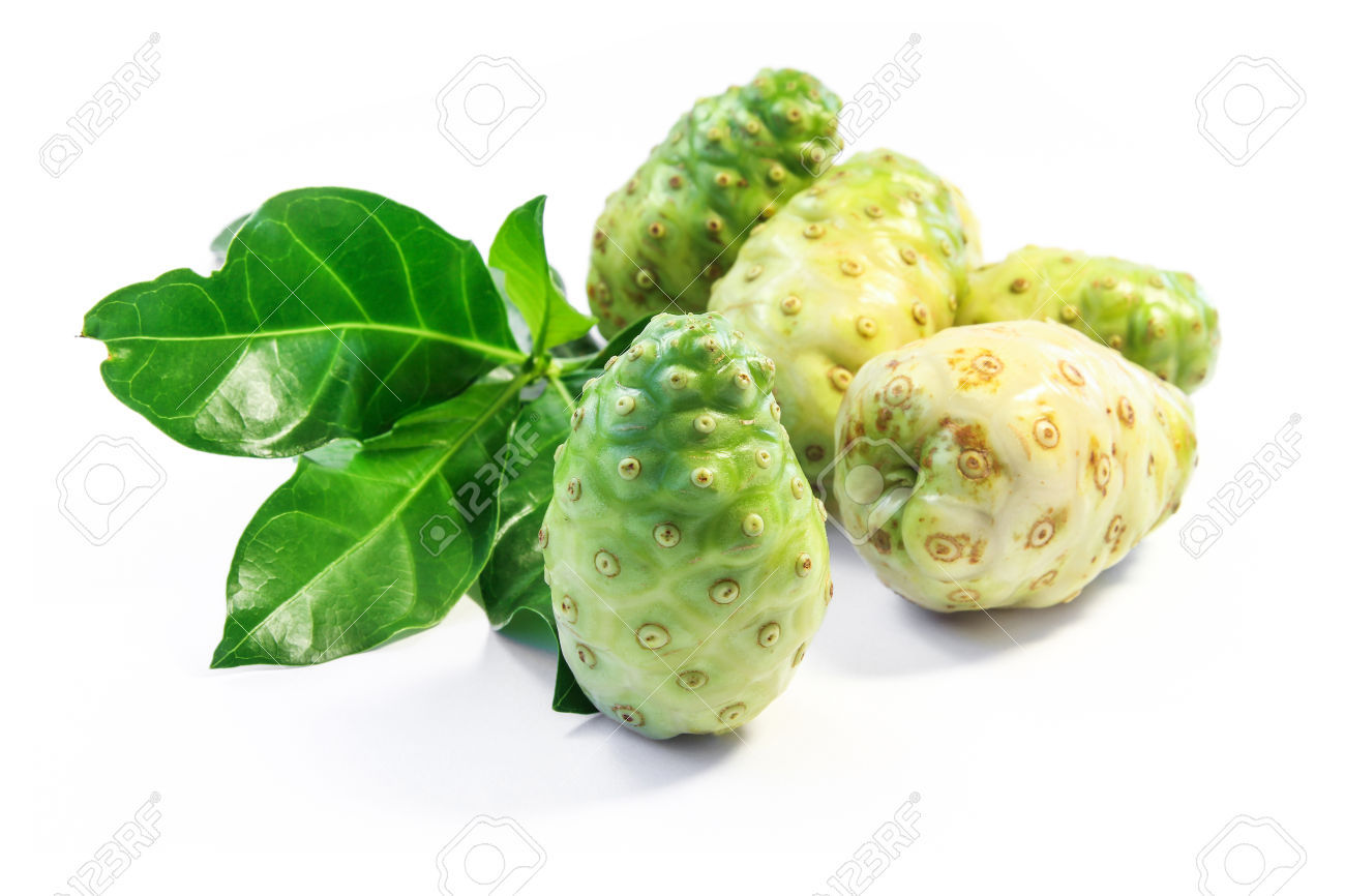 Healthy Habit – NONI EXTRACT – Wellness Drink 3 Bottles 180 Capsules