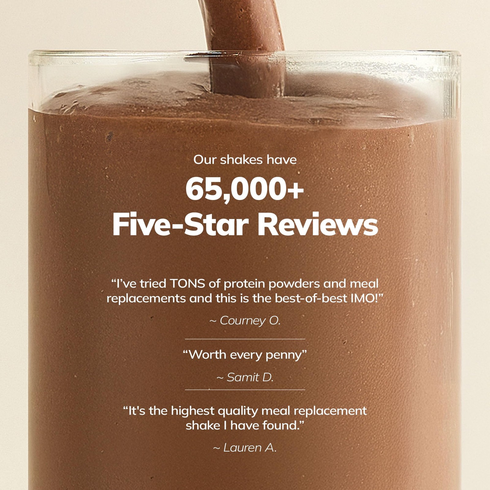 Whole Body Meal Shake Chocolate 2lb Vegan Protein 85+ Superfoods Meal Replacemen