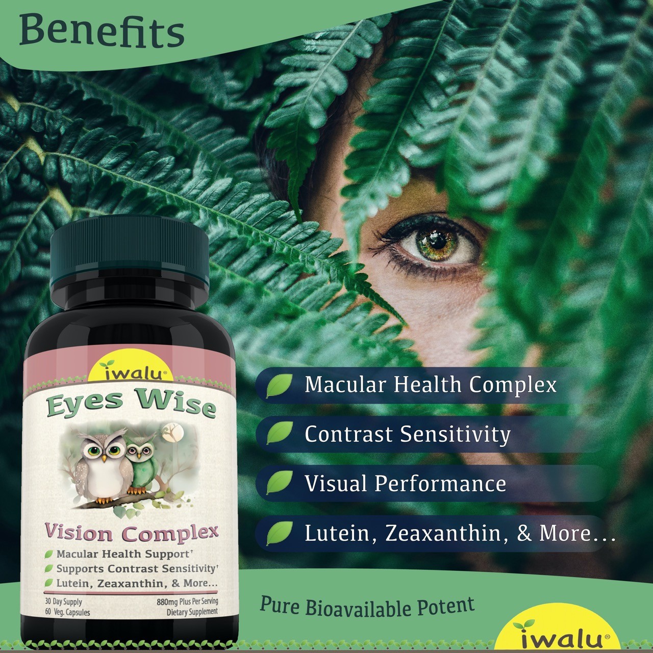 Vitamin For Eyes – Formula For Macular Health Lutein & Zeaxanthin 60 Capsule USA