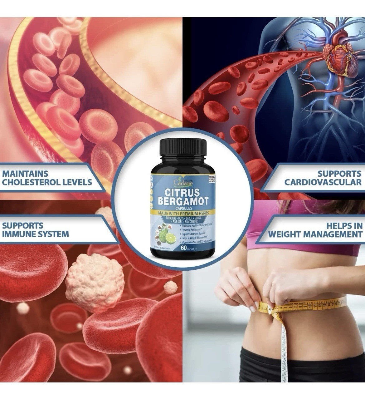 2Packs Citrus Bergamot Extract Capsules 10300mg 4 Months Supply & Berberine-USA