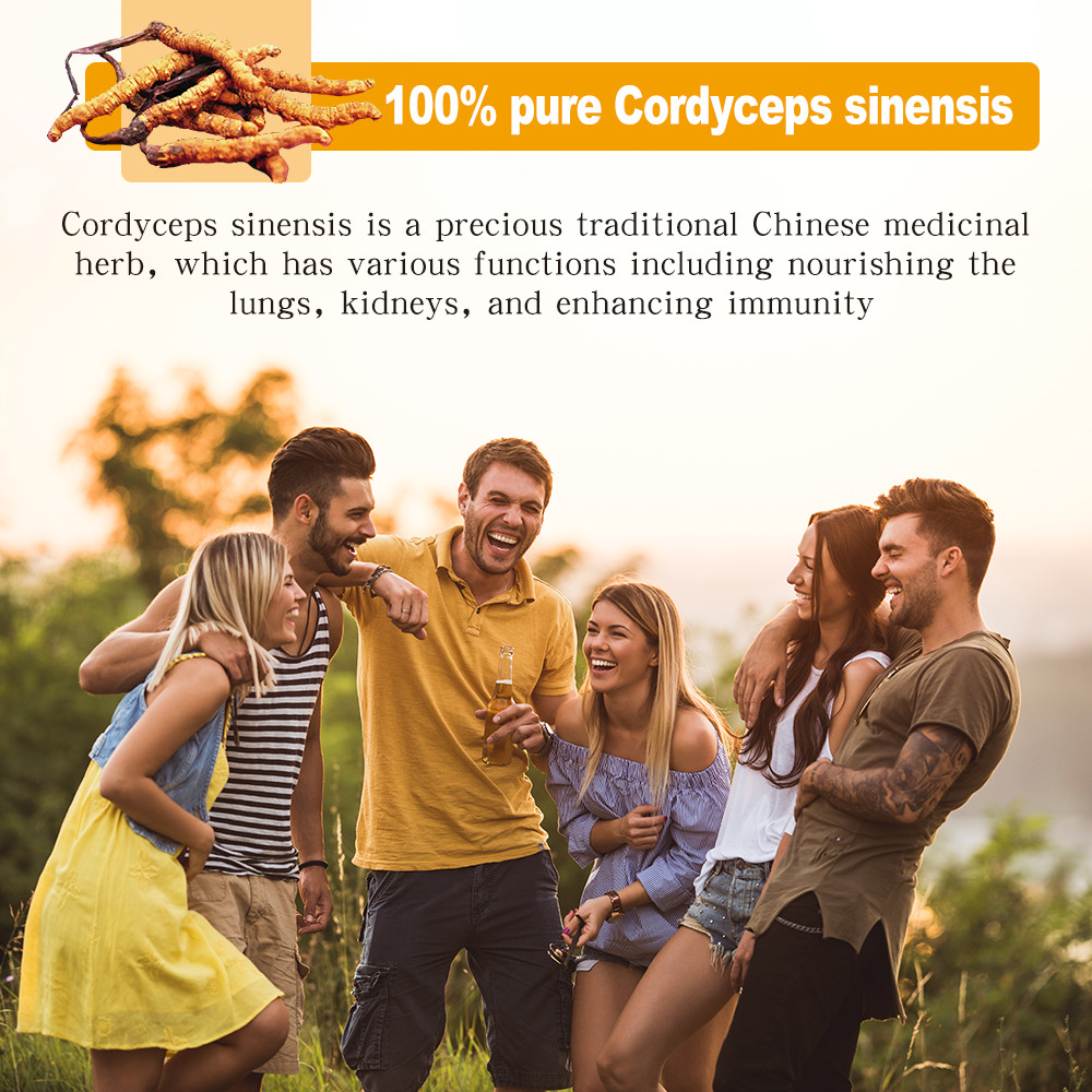 Cordyceps Sinensis 1000mg – Heart & Respiratory Health, Energy & immune Support