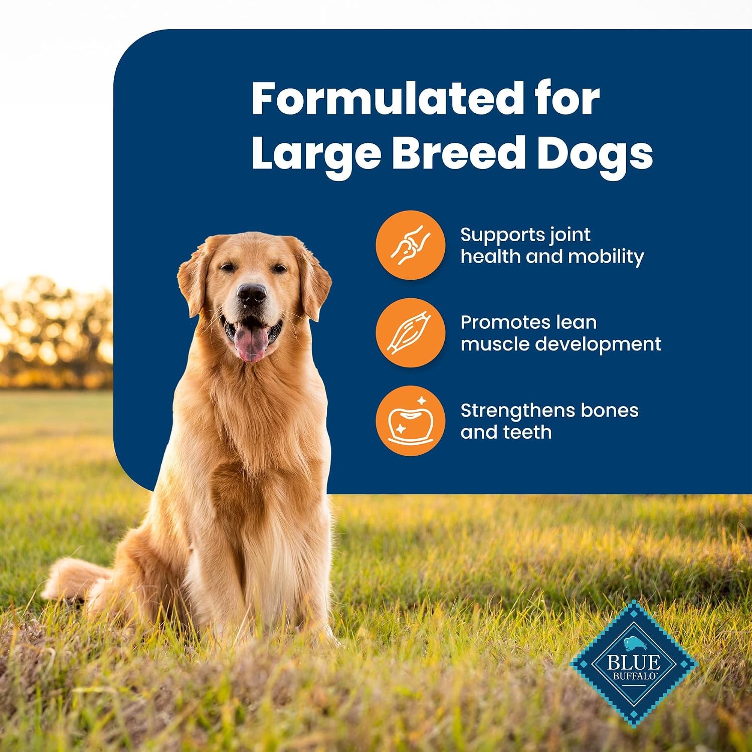 Blue Buffalo Life Protection Formula Large Breed Adult Dry Dog Food,Promotes Joi