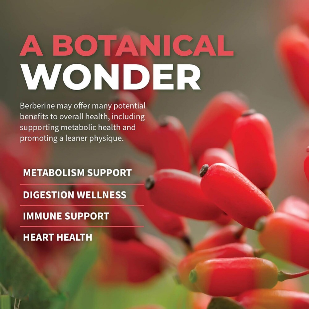 Advanced Dual Berberine HCl Berberine Supplement 1300mg 120 Capsules