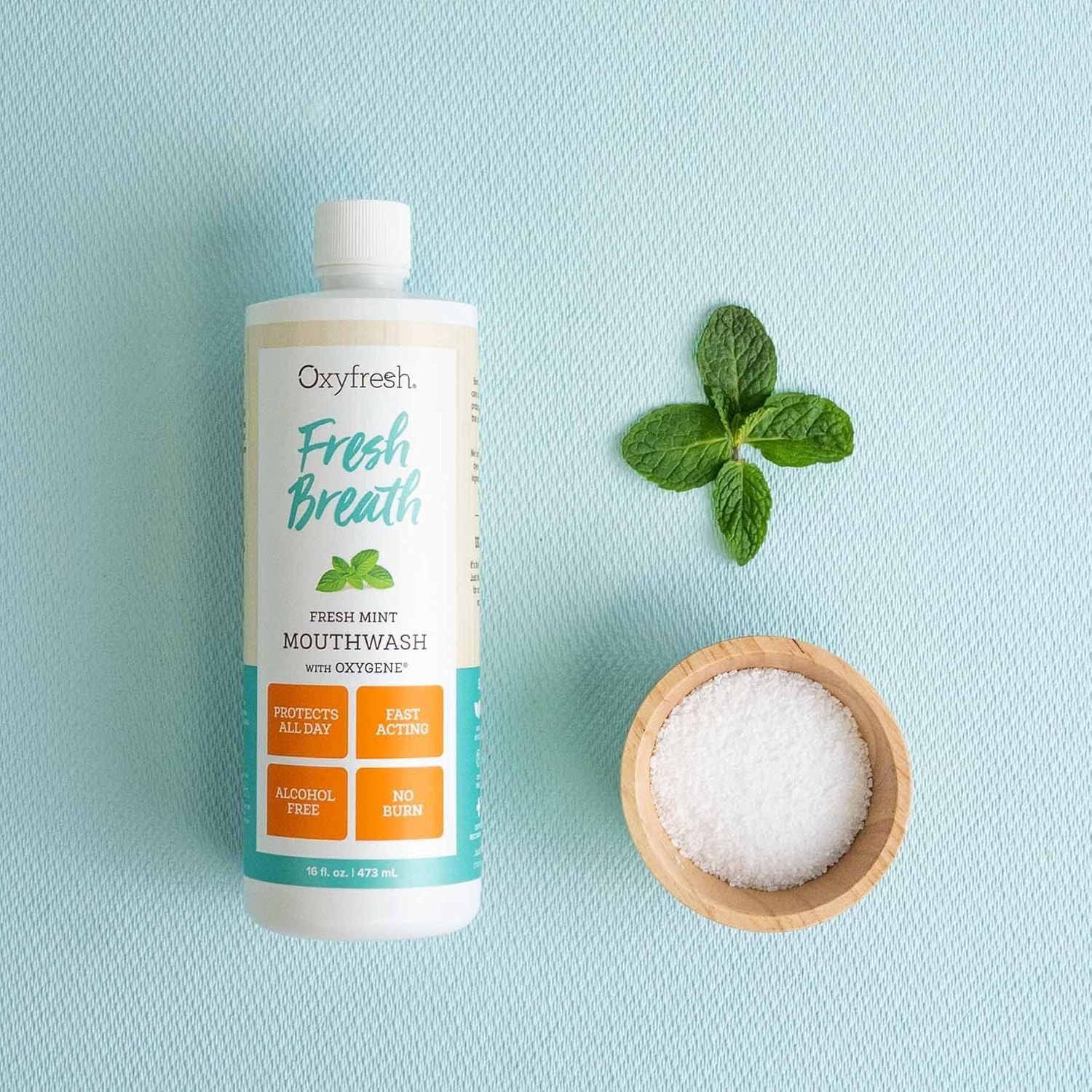 Oxyfresh Fresh Mint Flavored 16 Fl Oz (Pack of 1), – Fluoride Free