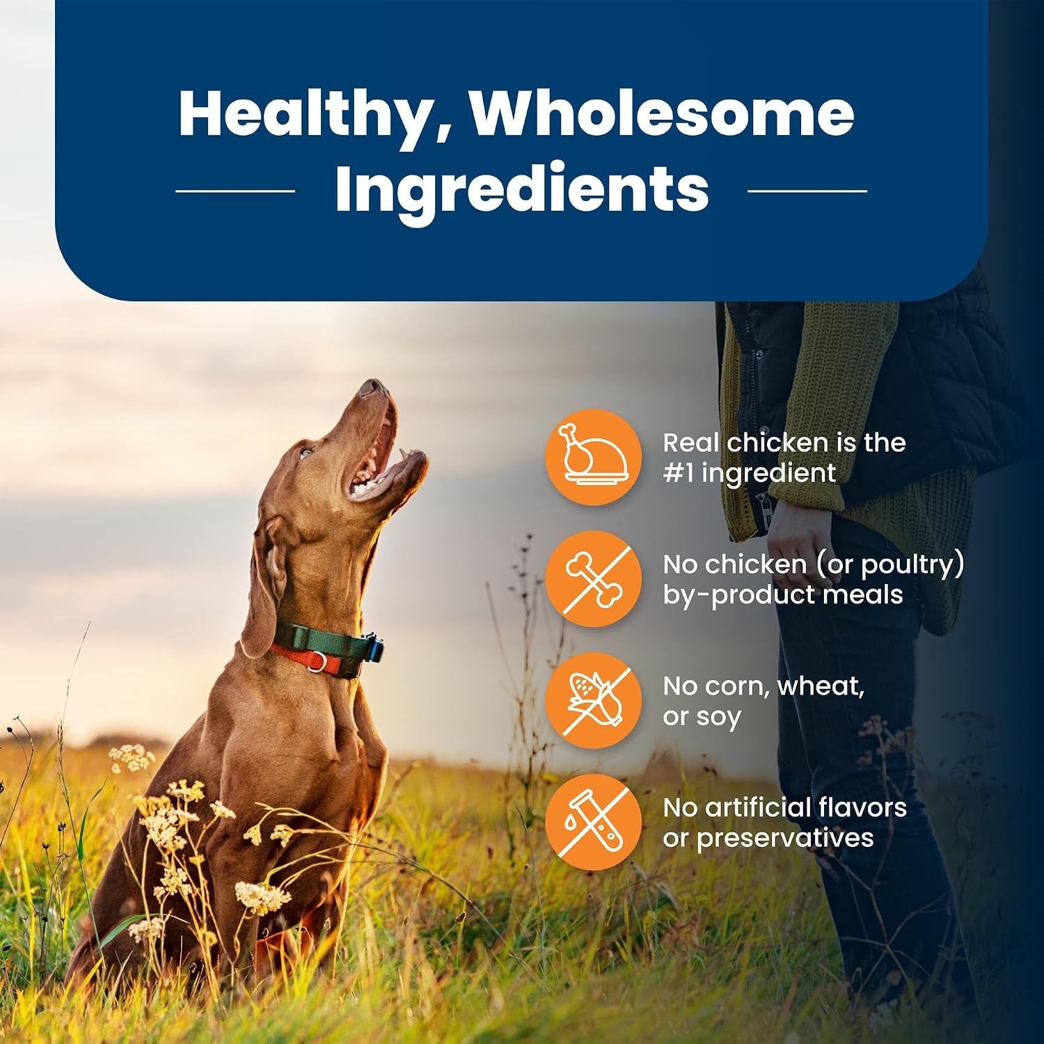 Blue Buffalo Life Protection Formula Large Breed Adult Dry Dog Food,Promotes Joi