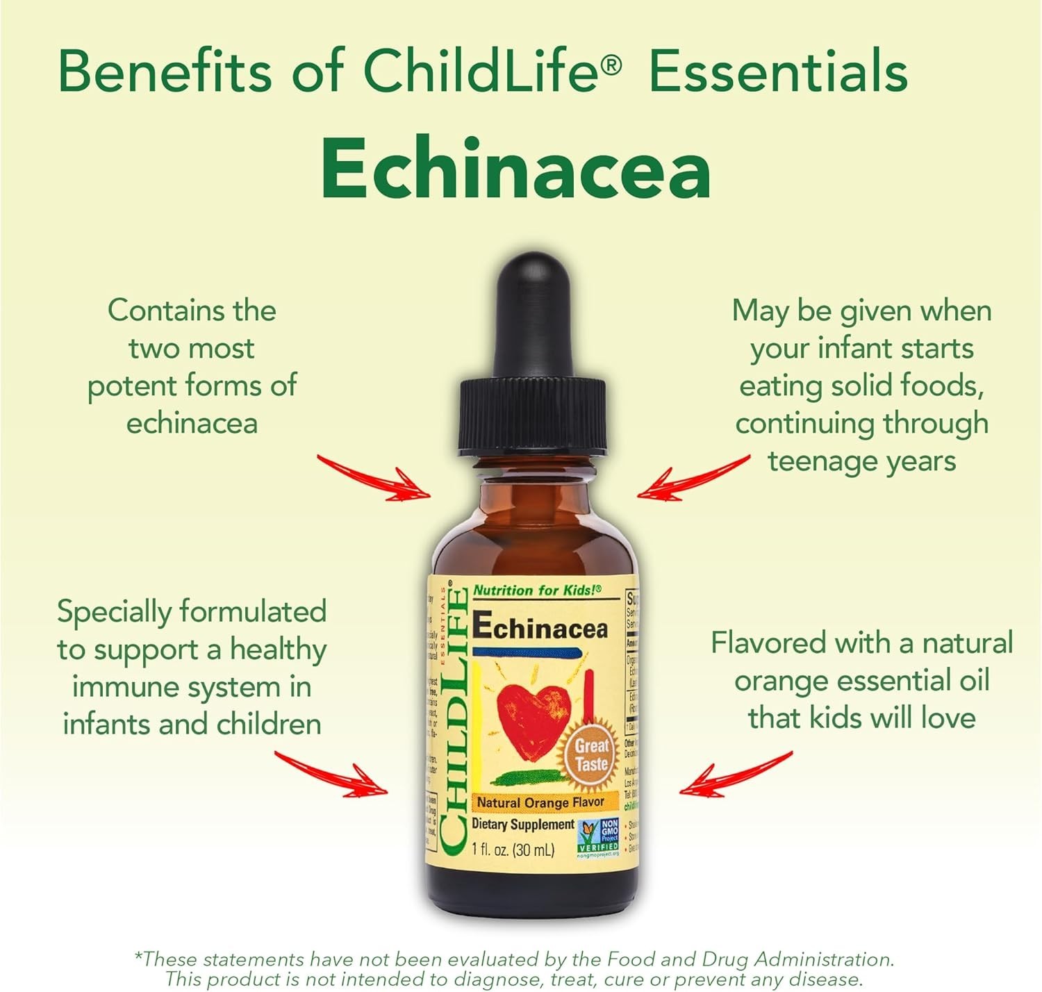 ChildLife Echinacea Natural Orange 1 fl. oz Each (Pack of 4)