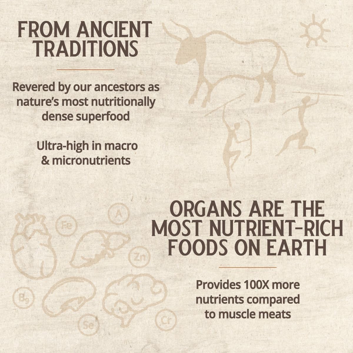 Grass Fed Bovine Organ Complex: Liver, Spleen, Kidney, Heart, Pancreas