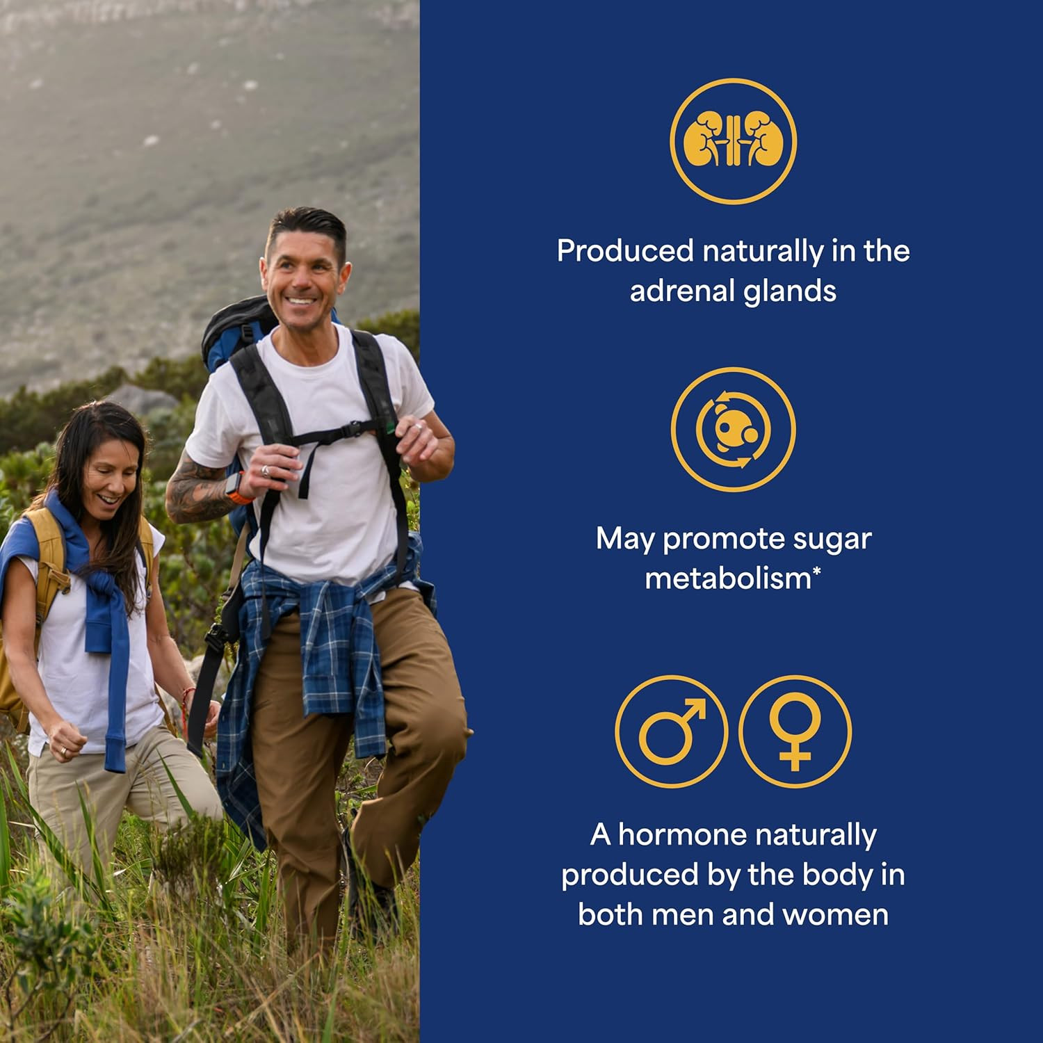 Puritan’s Pride DHEA 50Mg Dietary Supplement, Promote Sugar Metabolism 100 Count