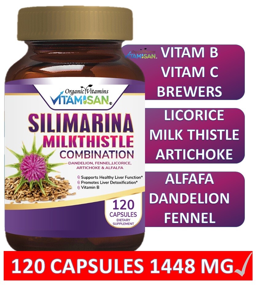 MILK THISTLE CARDO MARIANO healthy liver support chardon Marie 120 detox repair