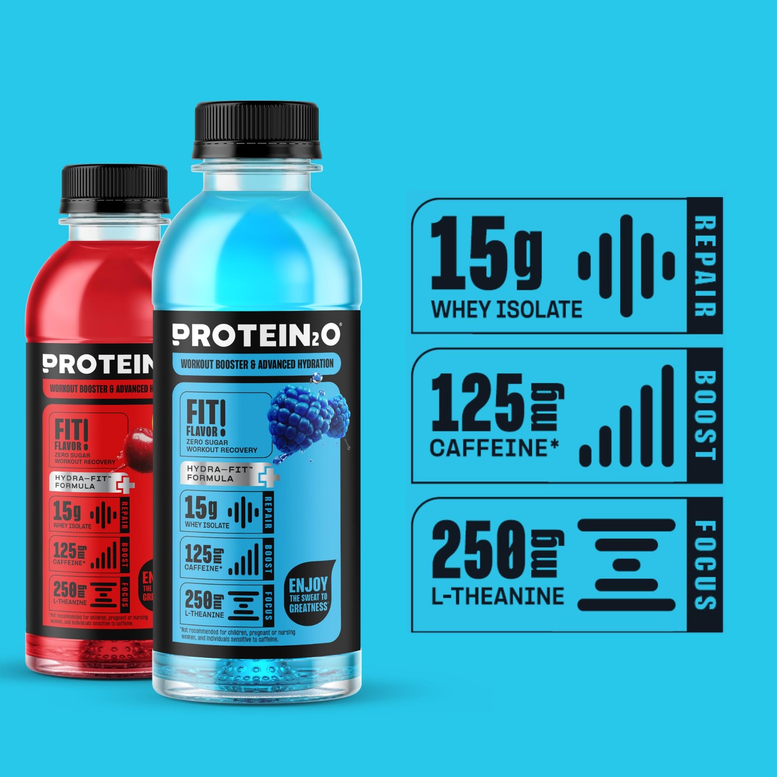 Protein2o 15g Whey Protein Isolate Hydration Drink 16.9 Fl Oz (Pack of 12)