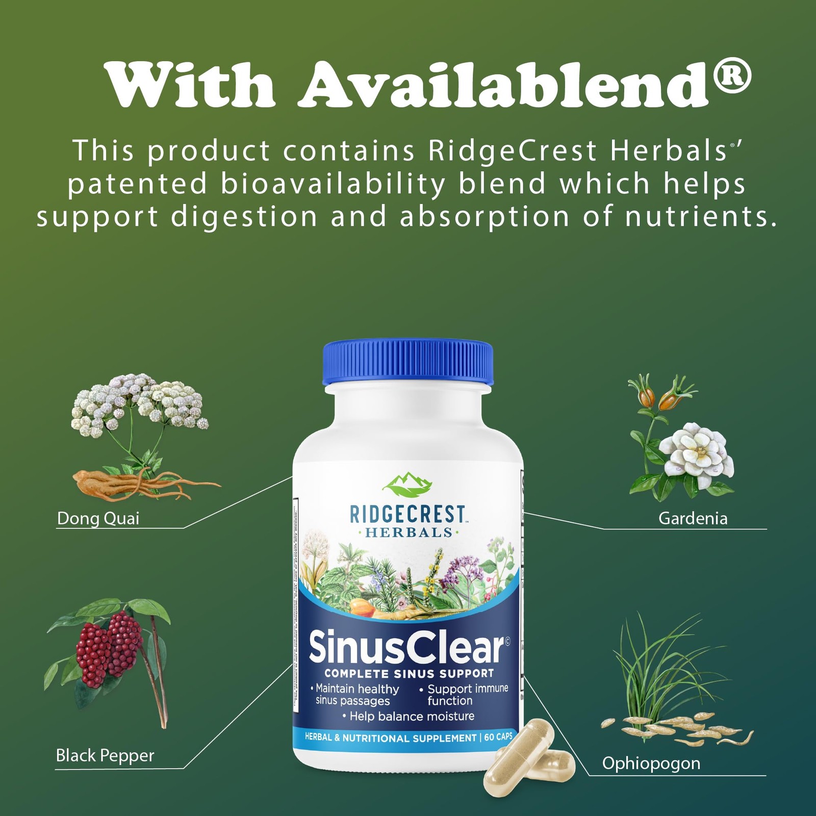 RidgeCrest Herbals SinusClear, Complete Formula 60 Count (Pack of 1), Orange