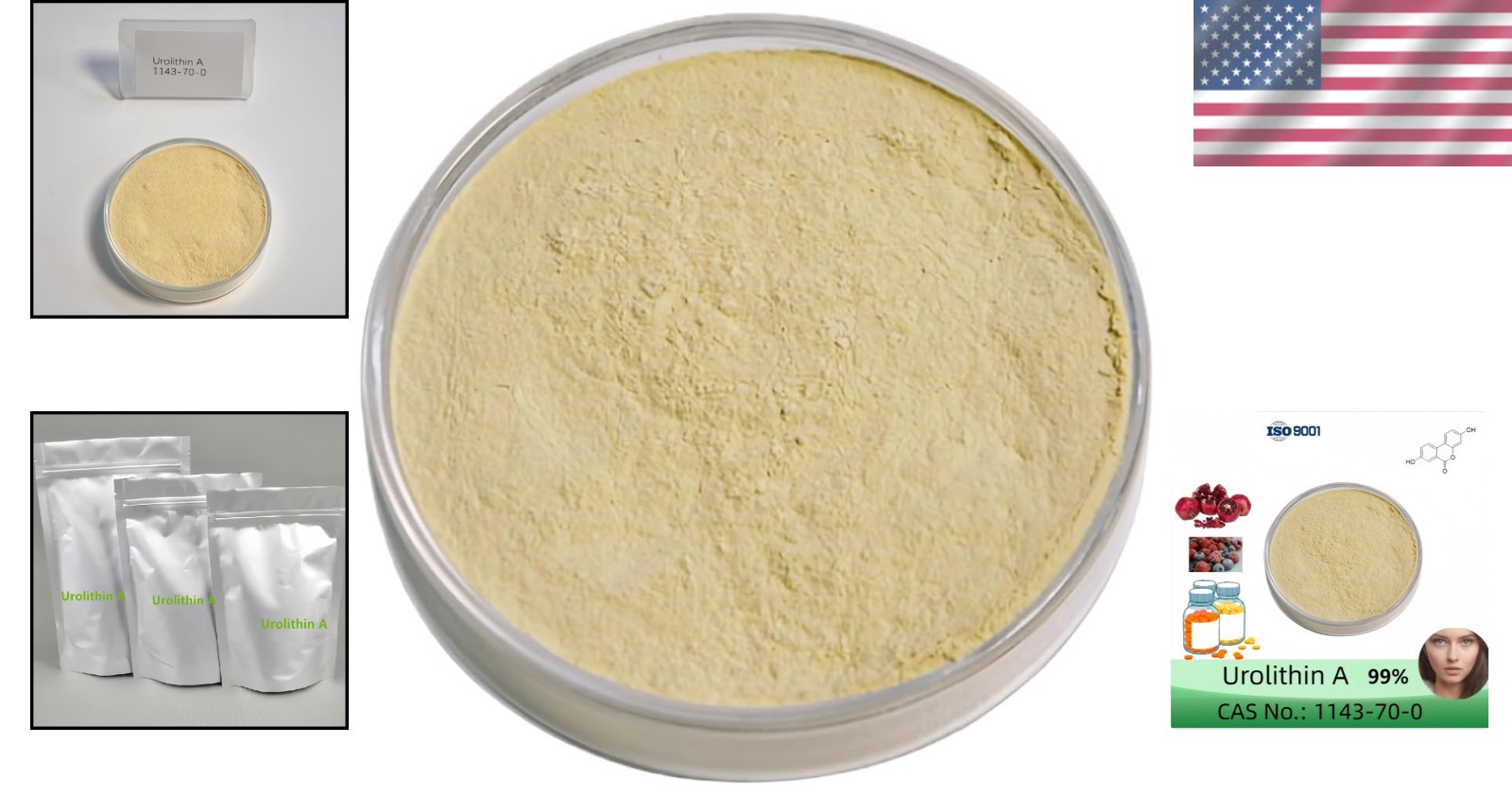 Energy Amplifier for Vitality – Mitochondrial Support Powder