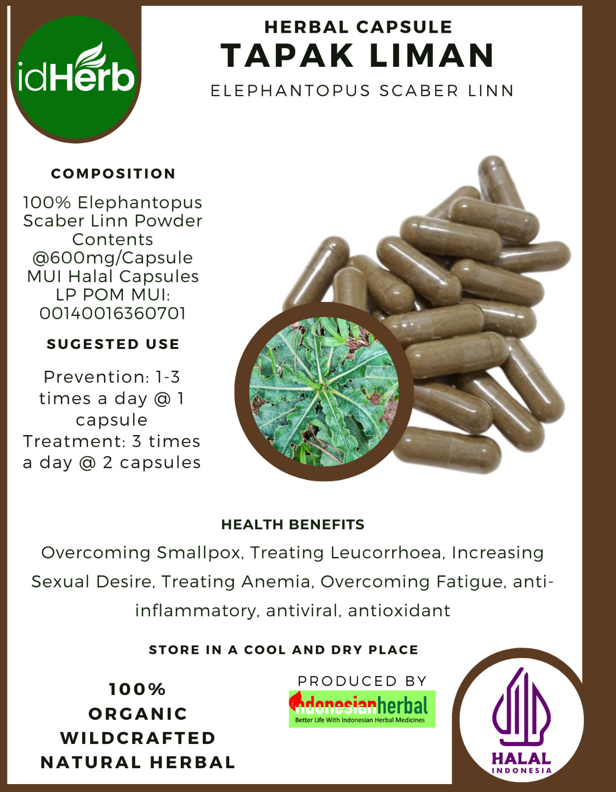 [idHerb] 100-800 Capsule Prickly-leaves Elephant’s Foot Elephantopus Scaber Linn
