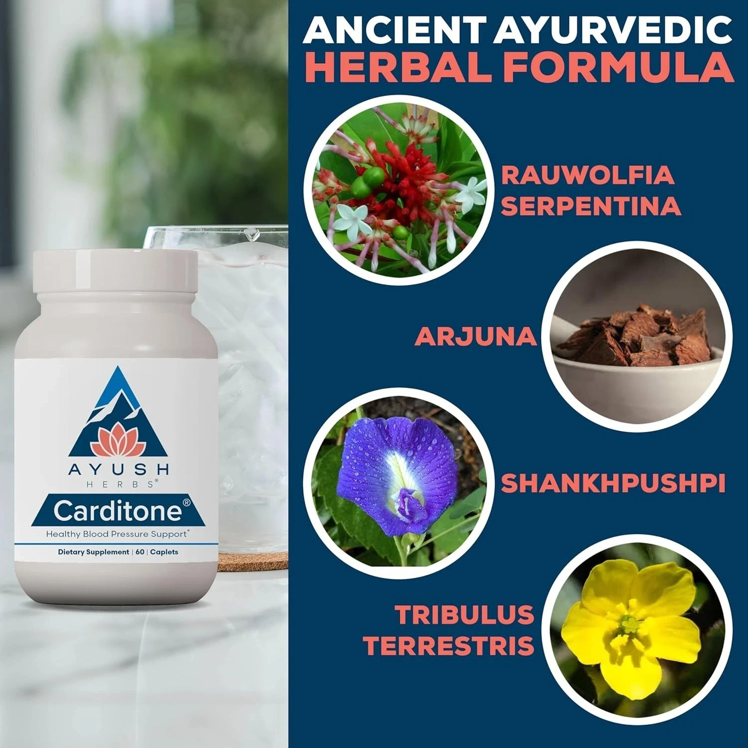 Ayush Herbs Carditone Cardiovascular – Blood Pressure Support – 60 Caplets