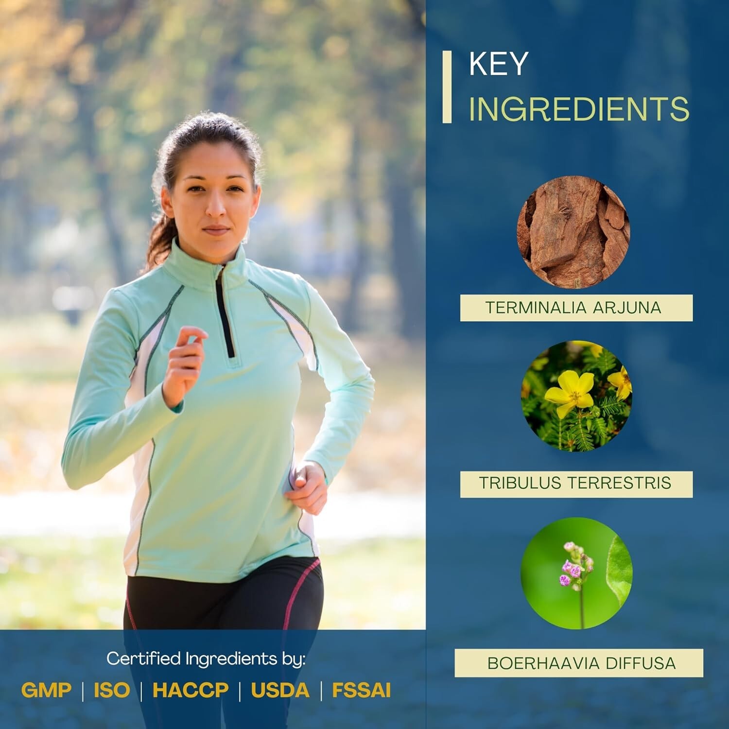 Carditone Ayush Herbs 60 caplets (New Label Same Formula) Cardiovascular Support
