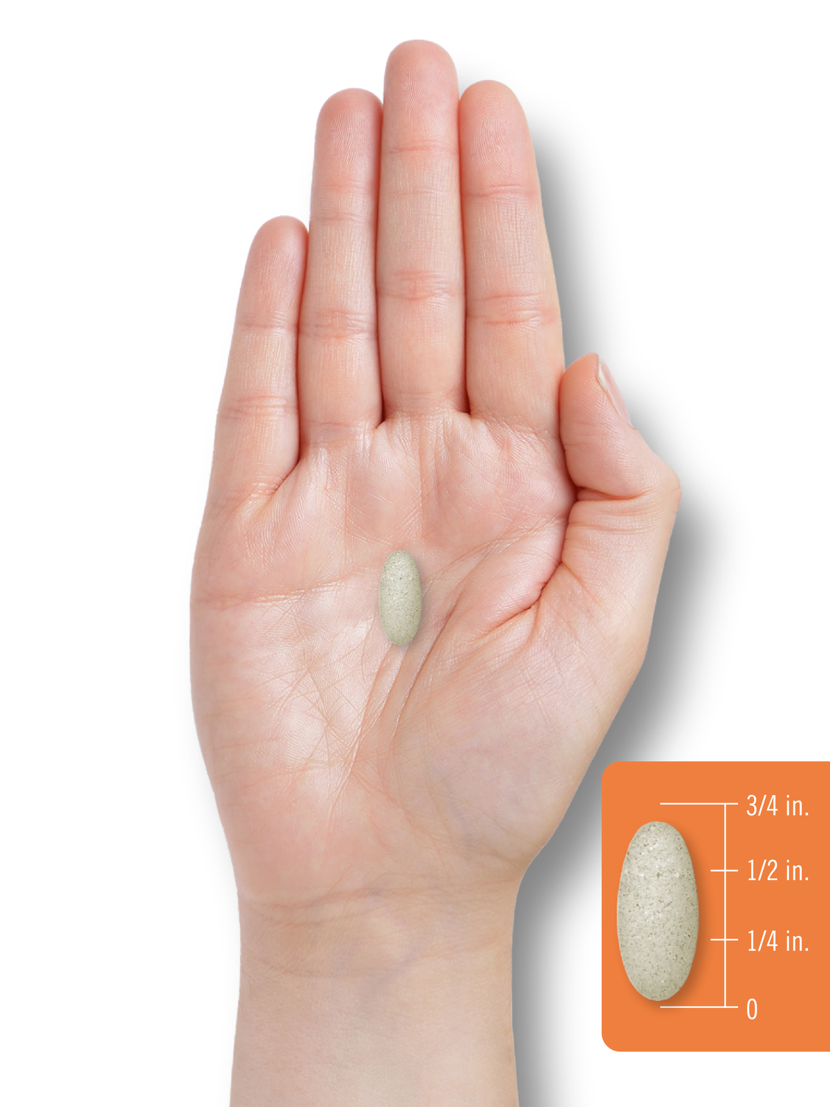 Vitamin C 1000mg with Bioflavonoids | 250 Caplets | with Rose Hips | by Carlyle