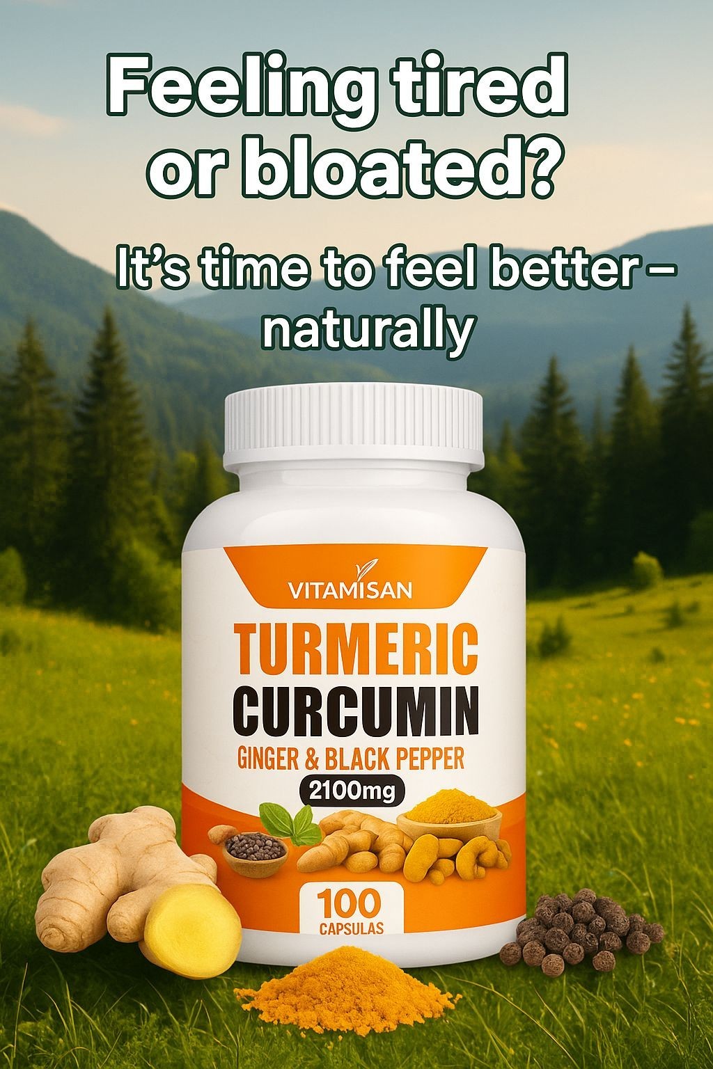 Vitamisan 2-Pack Turmeric Curcumin 2100mg – 240 Capsules – Natural Supplement