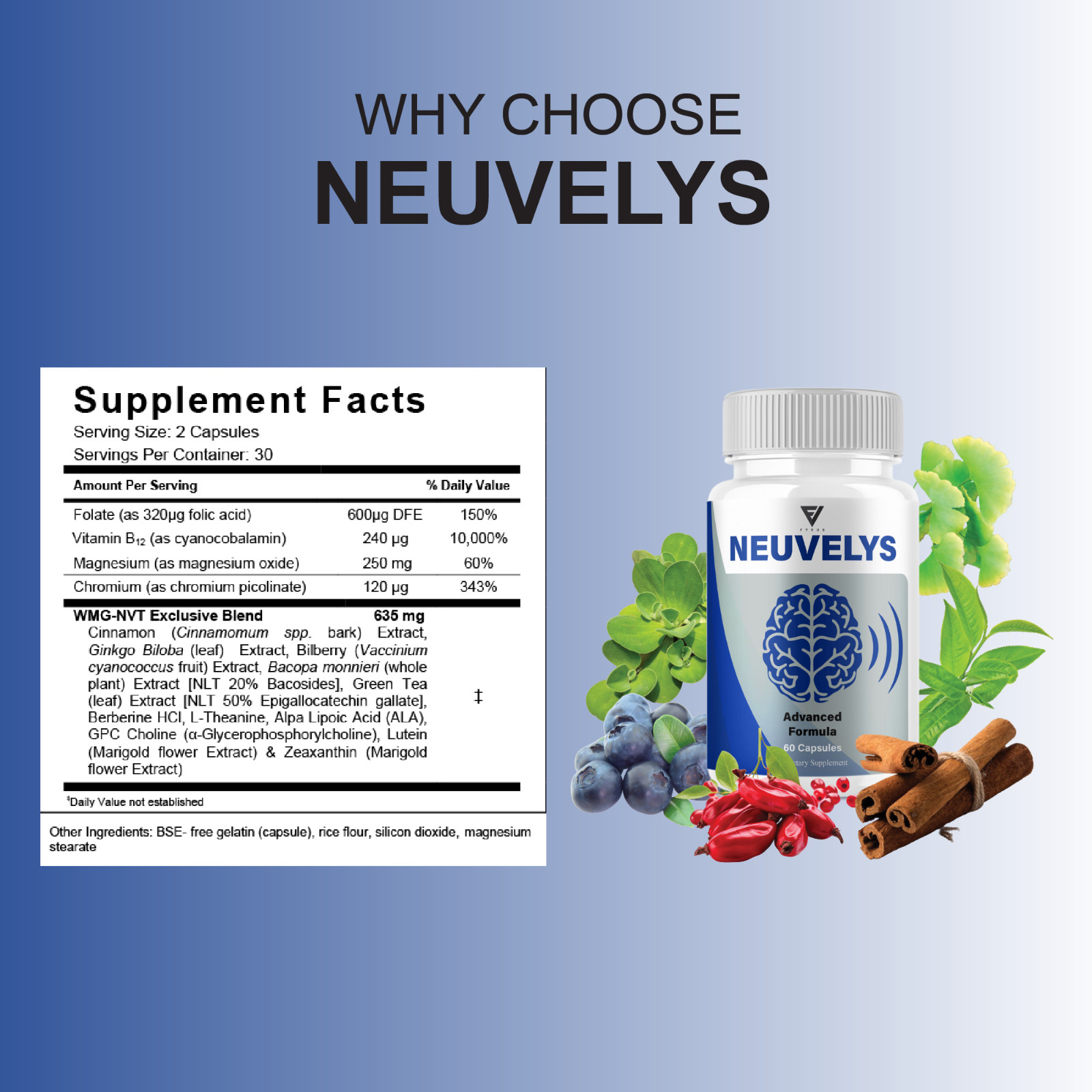 Neuvelys Brain Health Supplement, Neu Velys Support (60 Capsules)