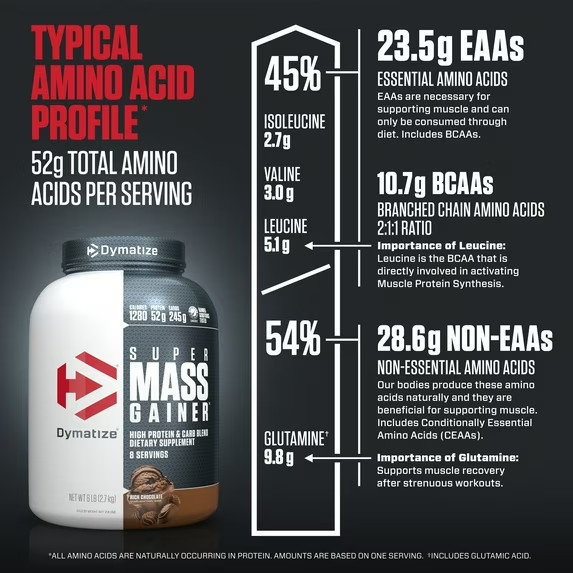 Dymatize Super Mass Gainer, Rich Chocolate, 6 lbs
