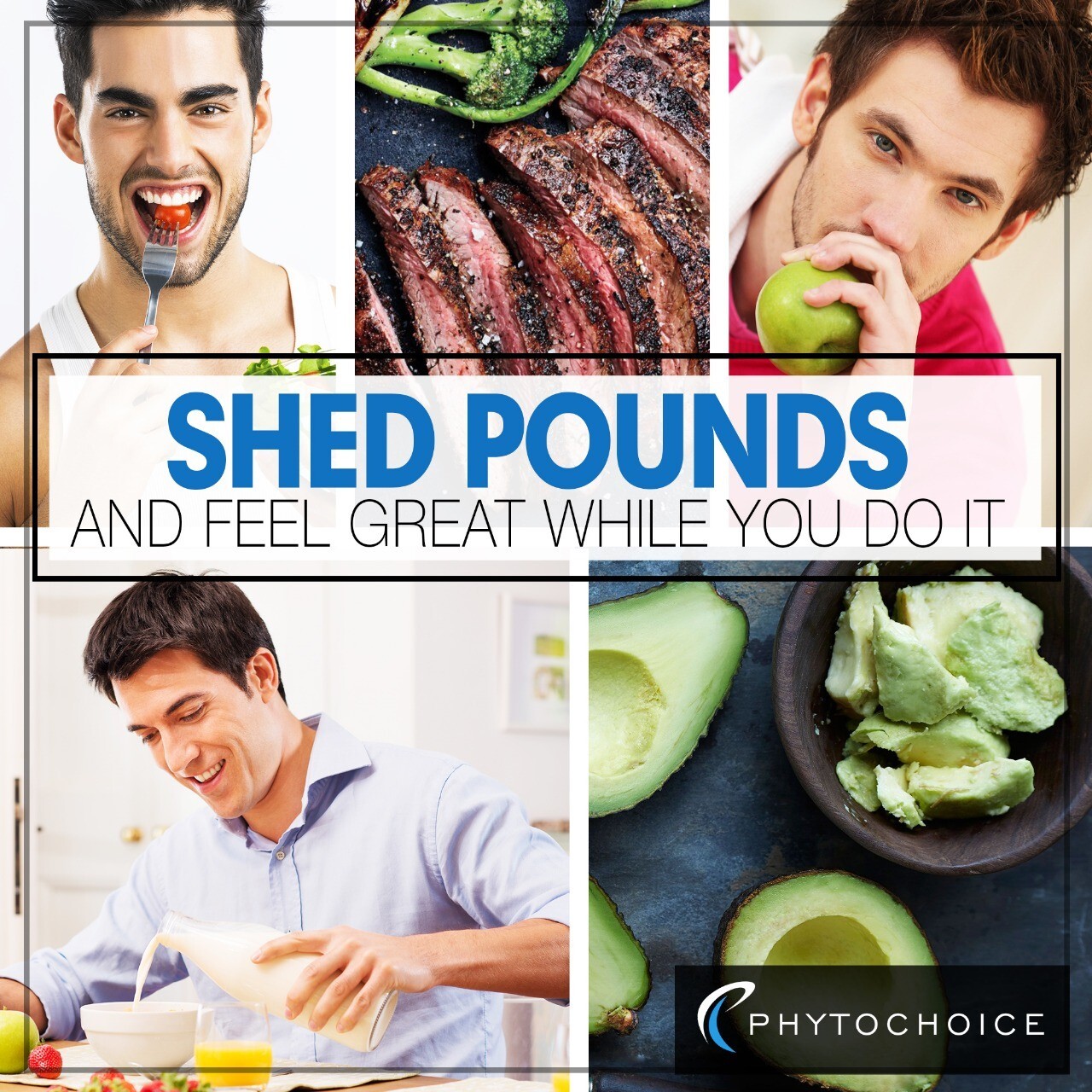 PHYTOCHOICE Advertising Insert Card for Best Diet Pills That Work Fast for Men