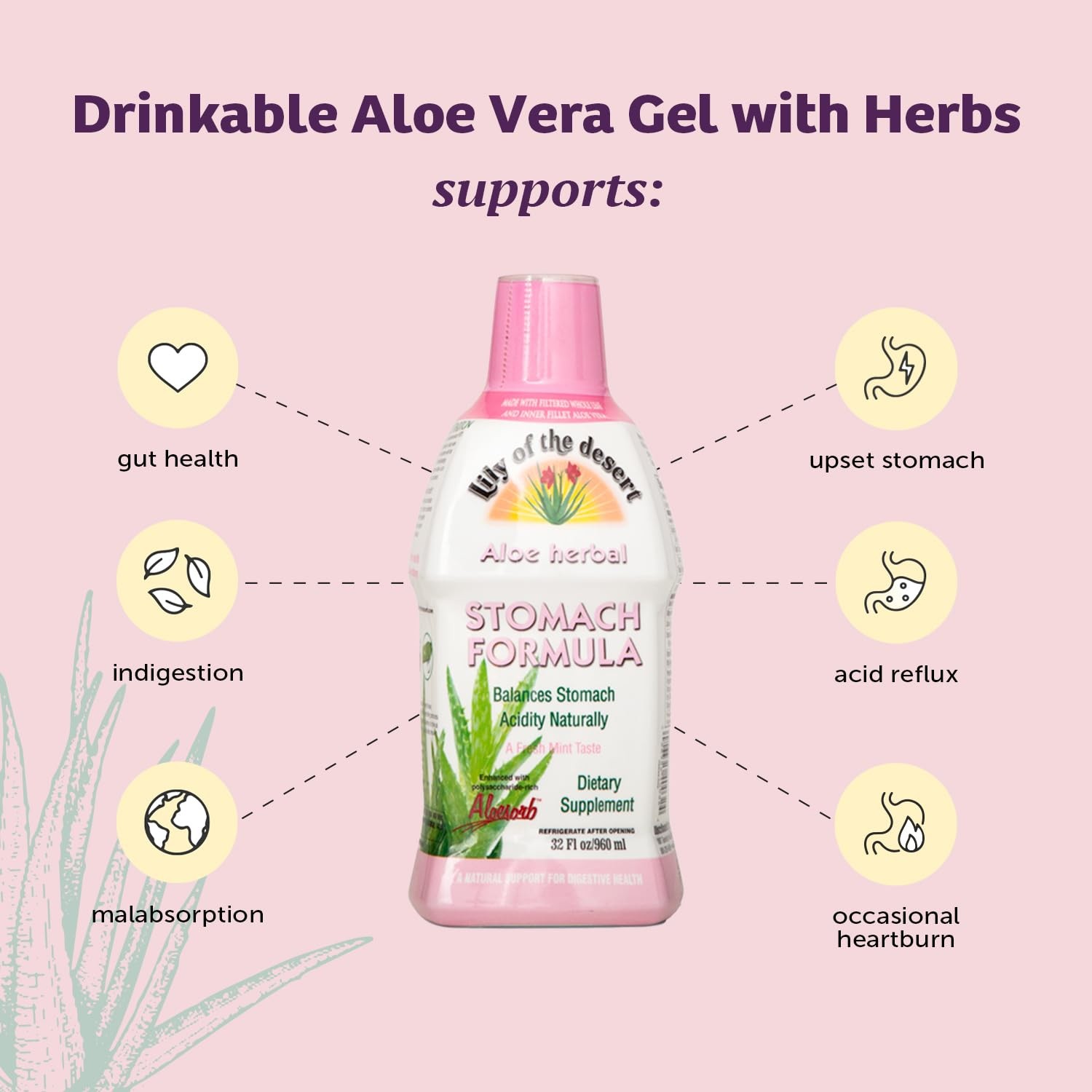 Lily of The Desert Stomach Formula, Organic Aloe Vera Juice with Slippery Elm, C