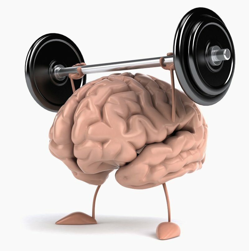 brain booster – ASTRAGALUS COMPLEX – amla capsules organic 2B