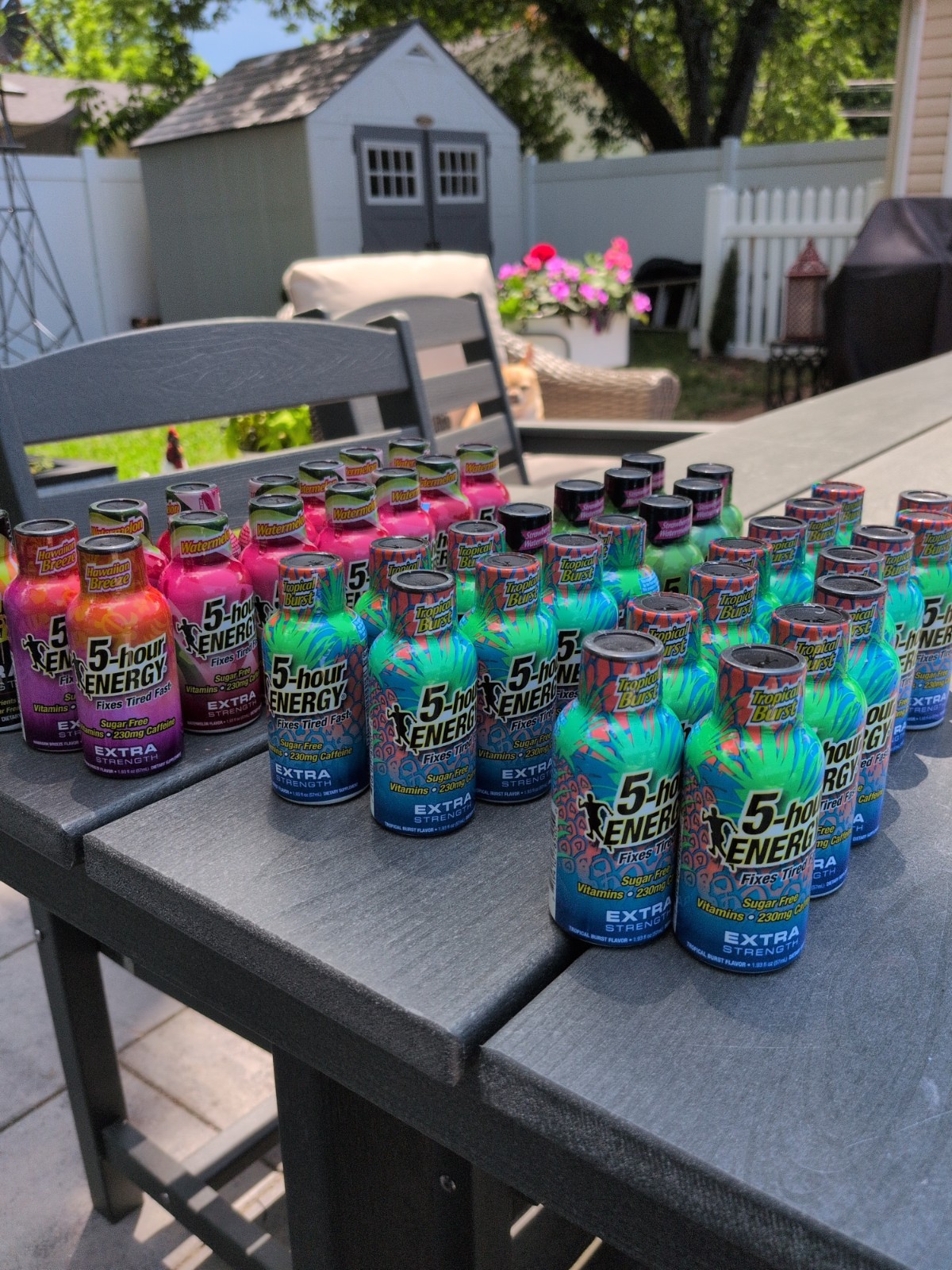 50x 5 Hour Energy Extra Tropical Burst, Strawberry Water. Watermelon, Grape 2026