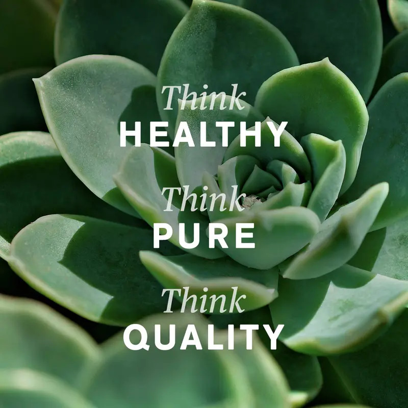Nature’s Sunshine Lymph Support Bloat Puffiness Detox & Healthy Lymph Flow