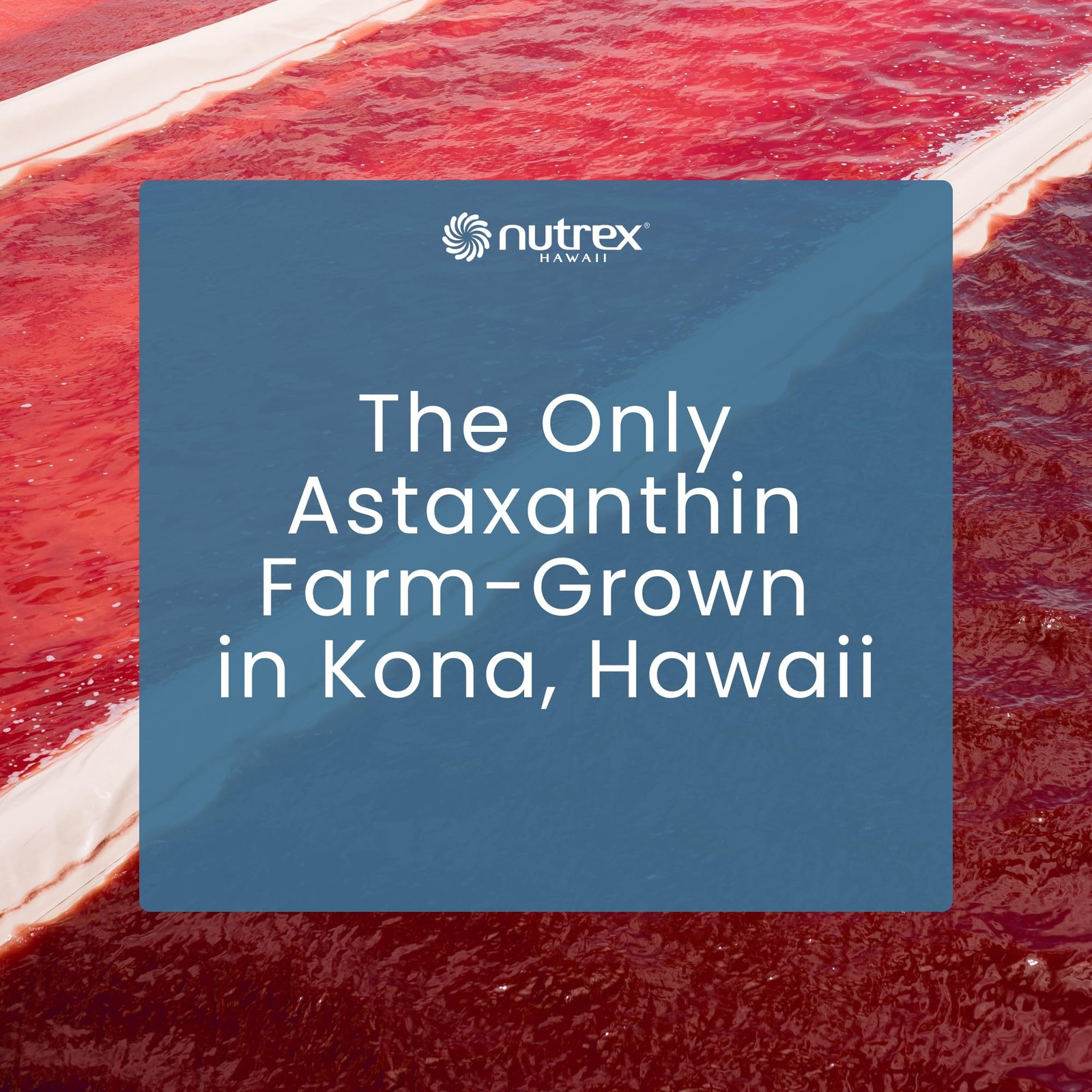 Nutrex Hawaii BioAstin Hawaiian Astaxanthin – 75 Count (Pack of 1), Black
