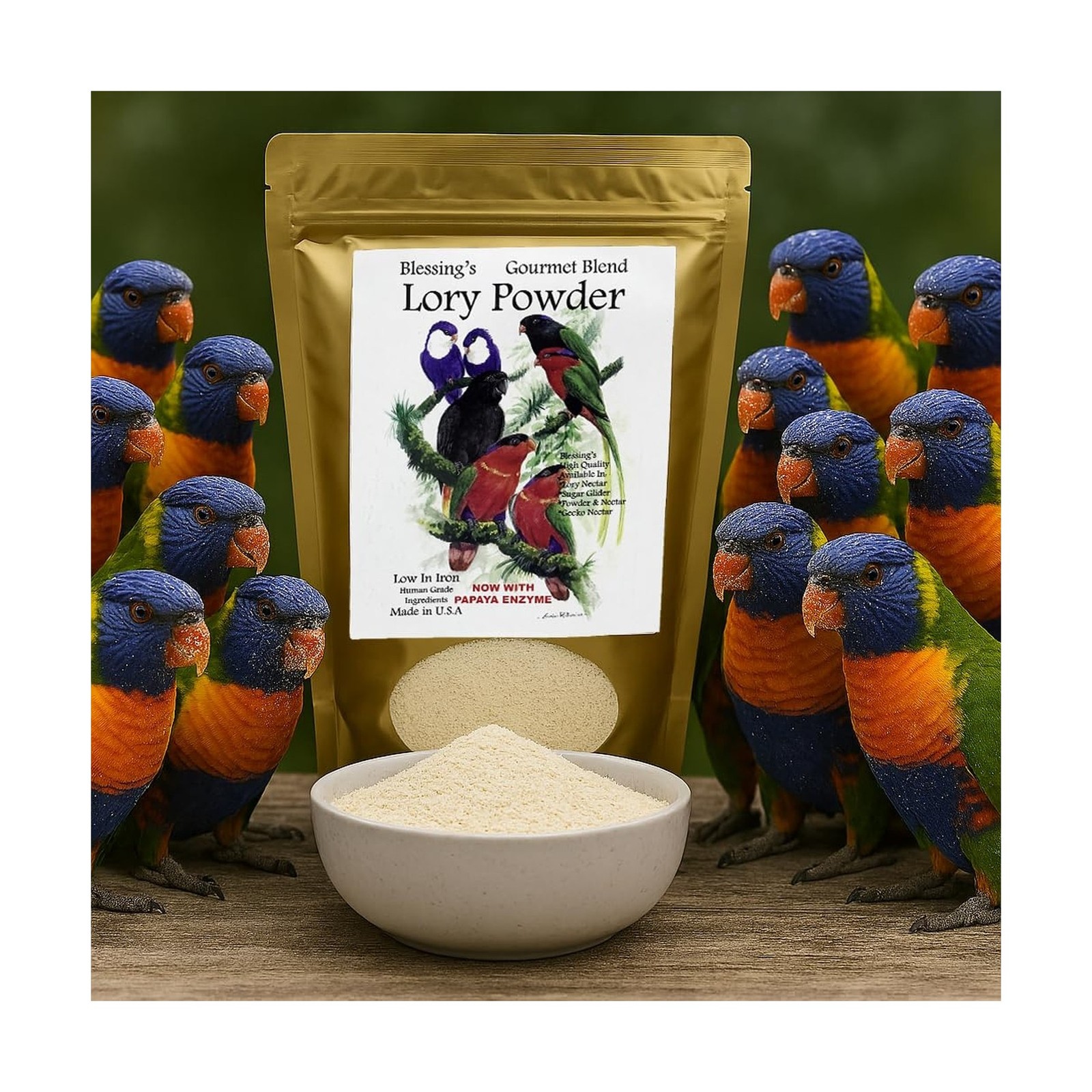 Blessings Gourmet Lory Powder Dry Lorikeet Food (2Lb) 32 Fl Oz (Pack of 1)
