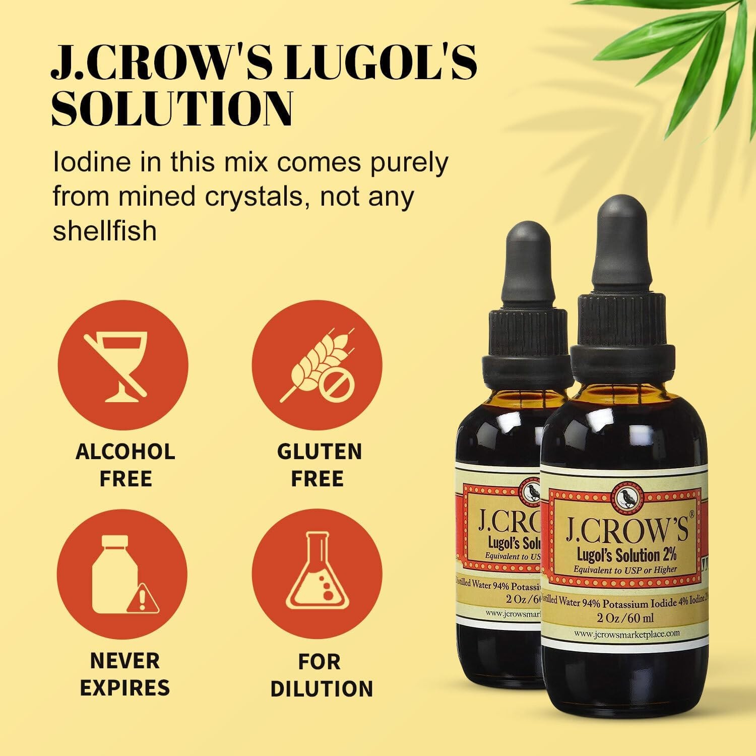 J.CROW’S Lugol’s Solution Iodine 2 Percent Thyroid Support and Energy 2 fl oz